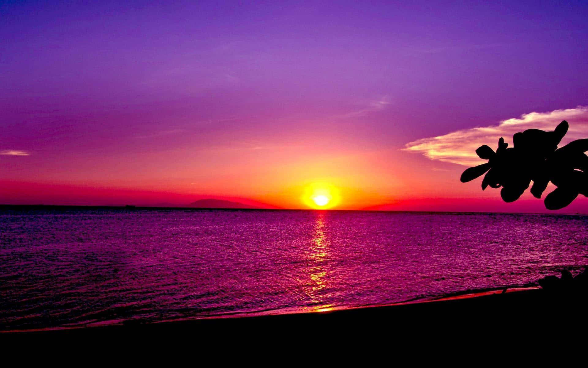 Beach Sunset Purple Sky Palm HD, purple sky, orange sky, Full HD Desktop Wallpaper