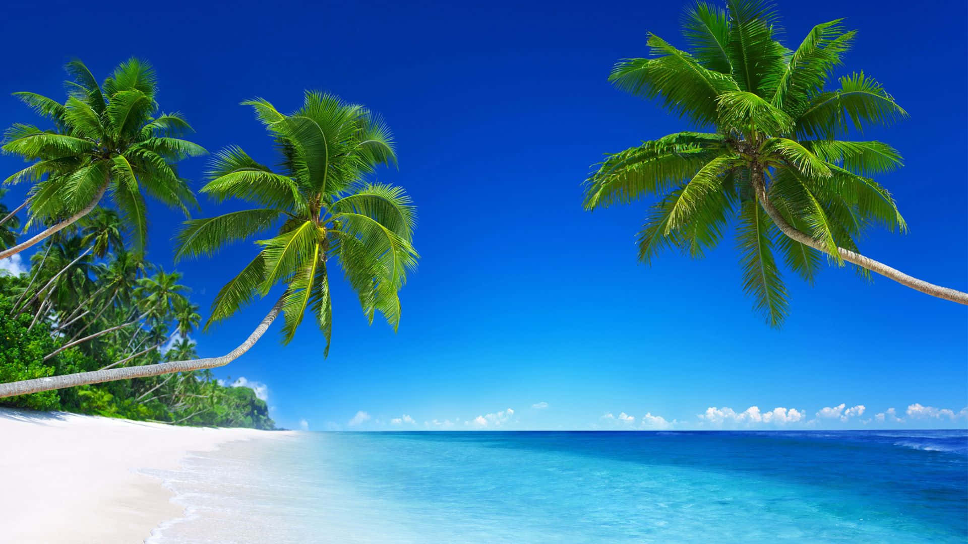 Beach Scene, clear blue skies, white sand, Full HD Desktop Wallpaper