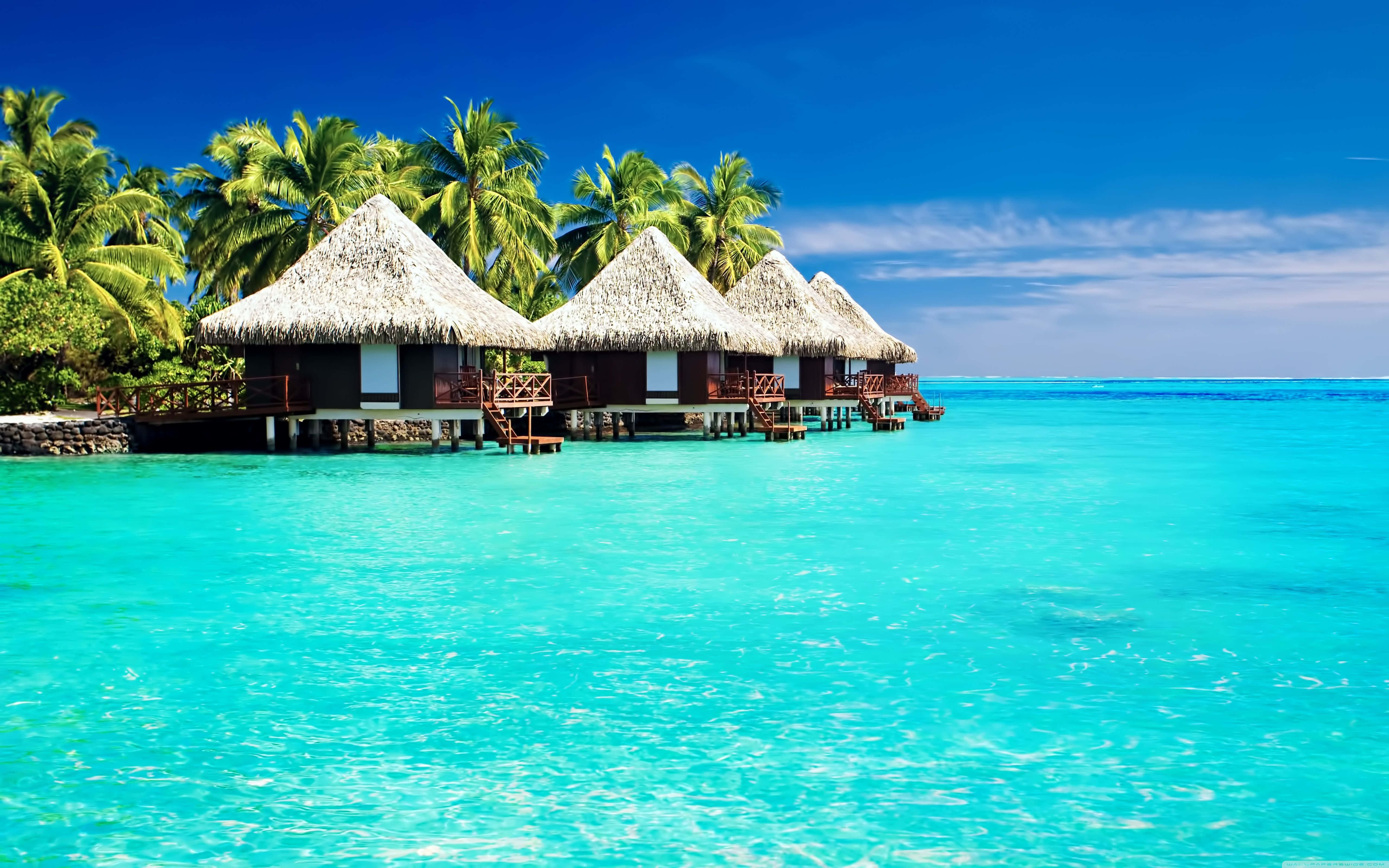 Cute Tropical Thatched Huts, overwater bungalows, thatched roofs, 5K Desktop Wallpaper