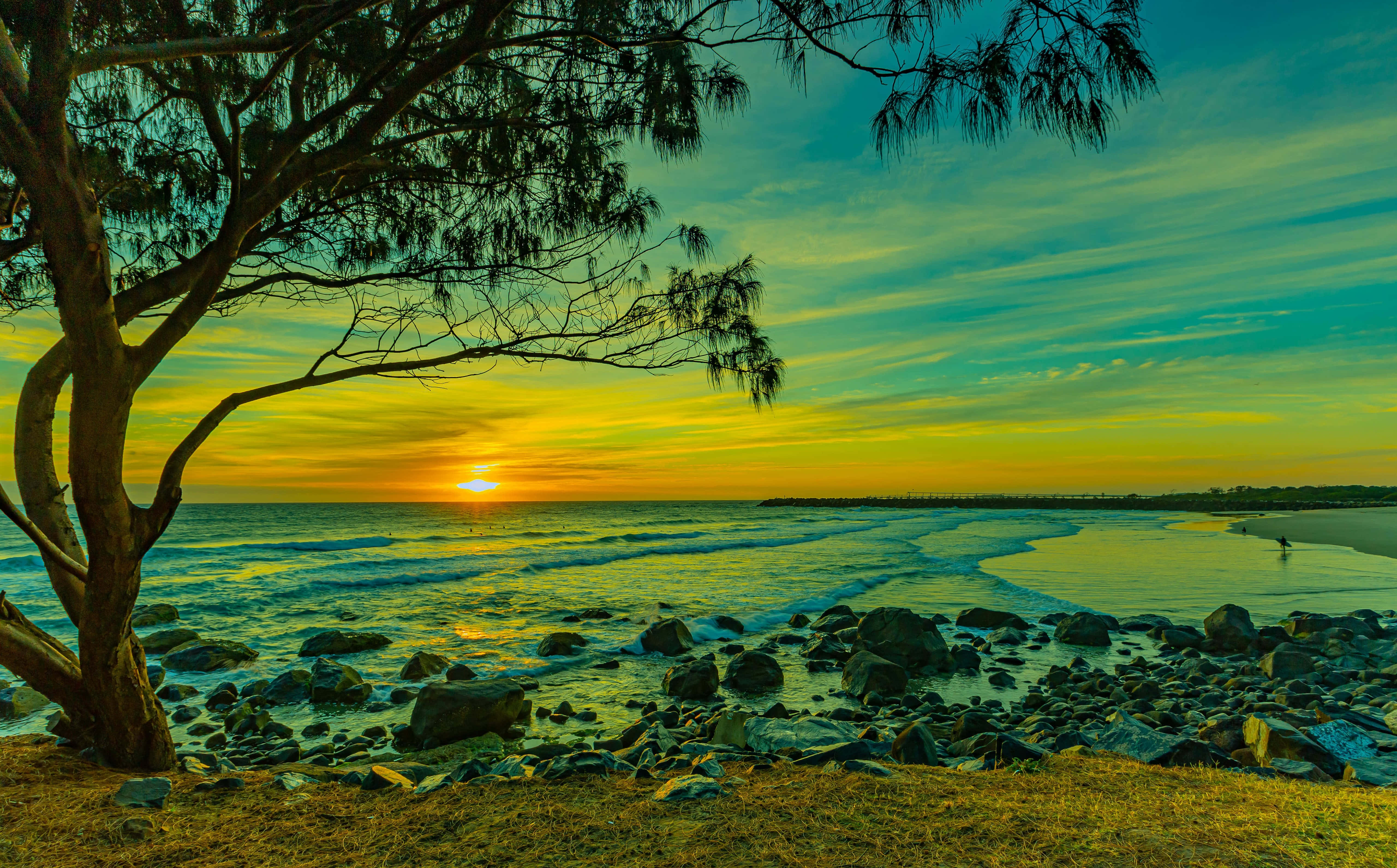 Beach Tree Sunset HD, rocky beach, lone tree, 5K Desktop Wallpaper