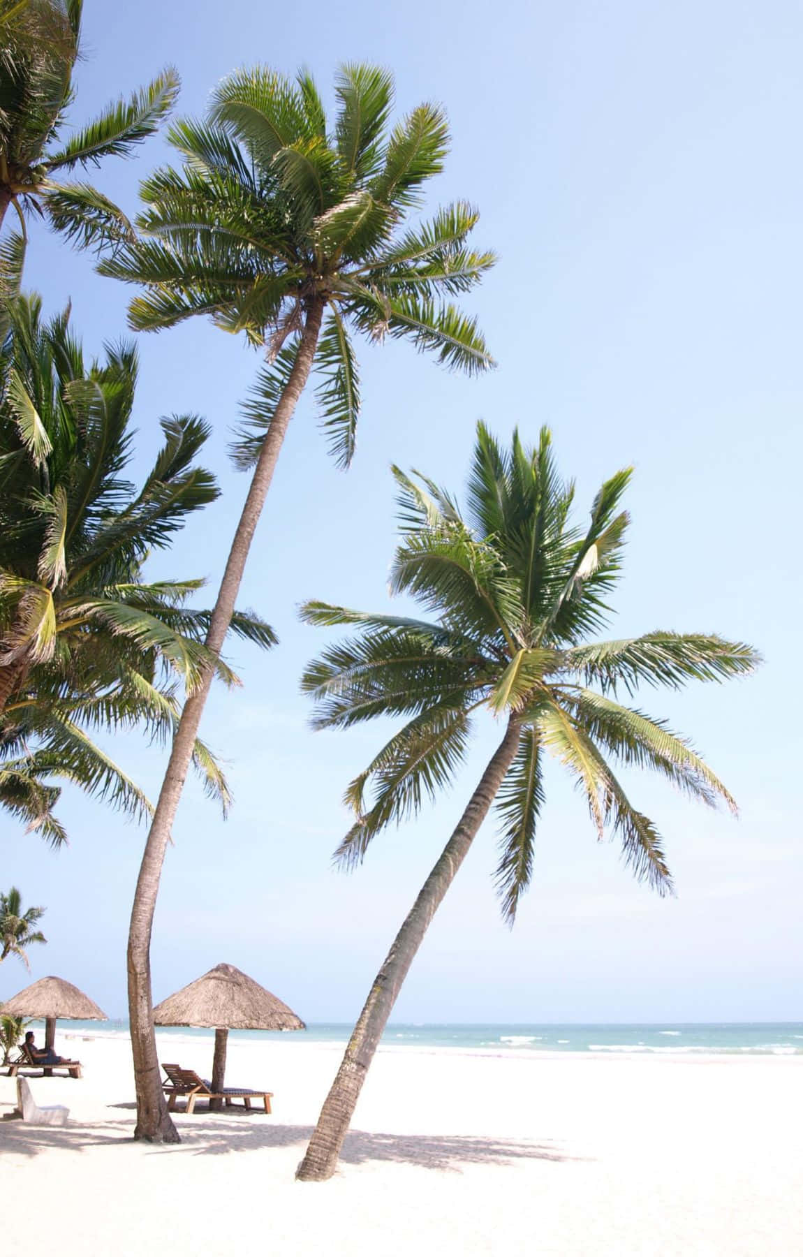 tropical beach scene, cottages, coconut trees, HD Phone Wallpaper