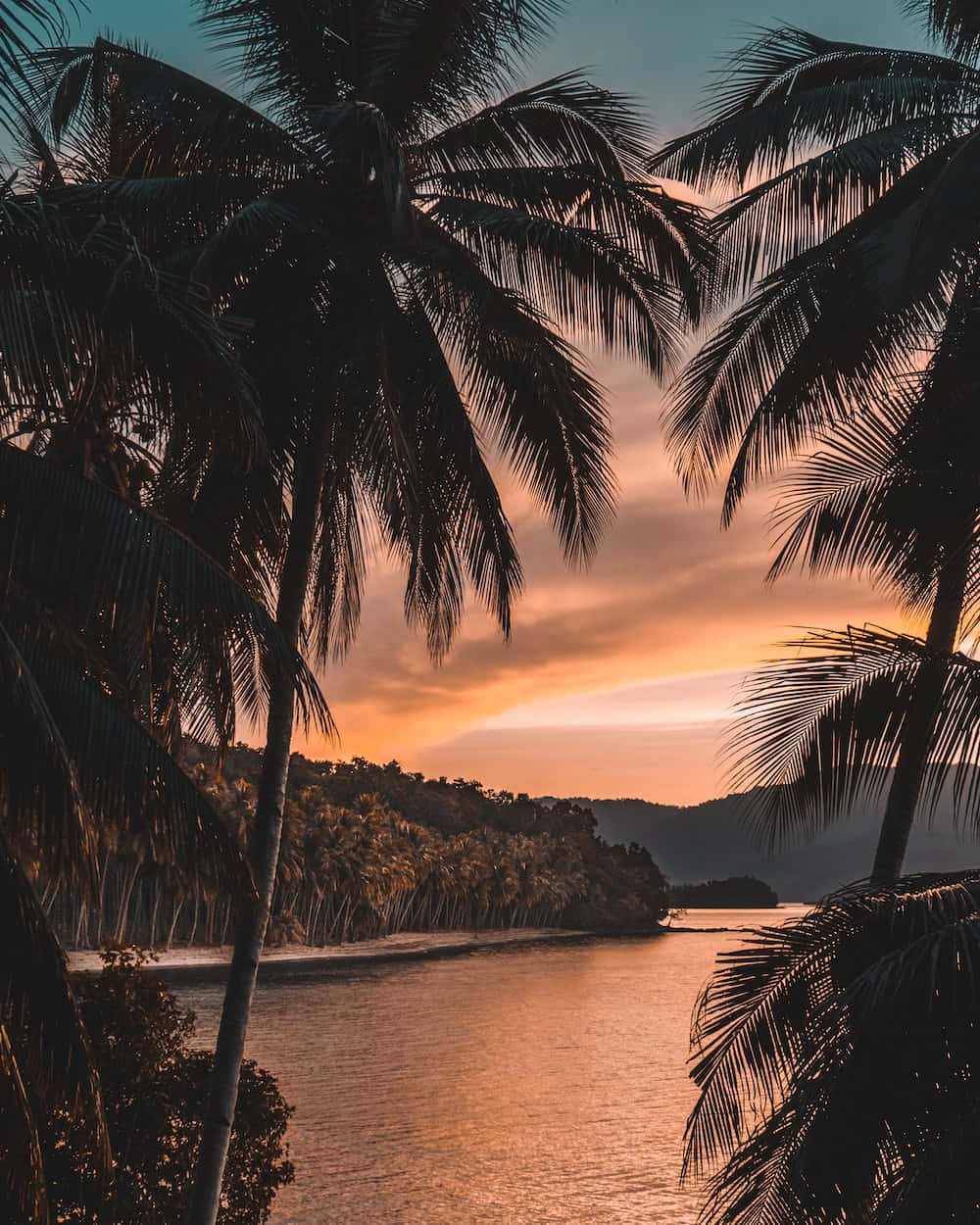 tropical sunset aesthetic, palm fronds, tranquil river, SD Phone Wallpaper