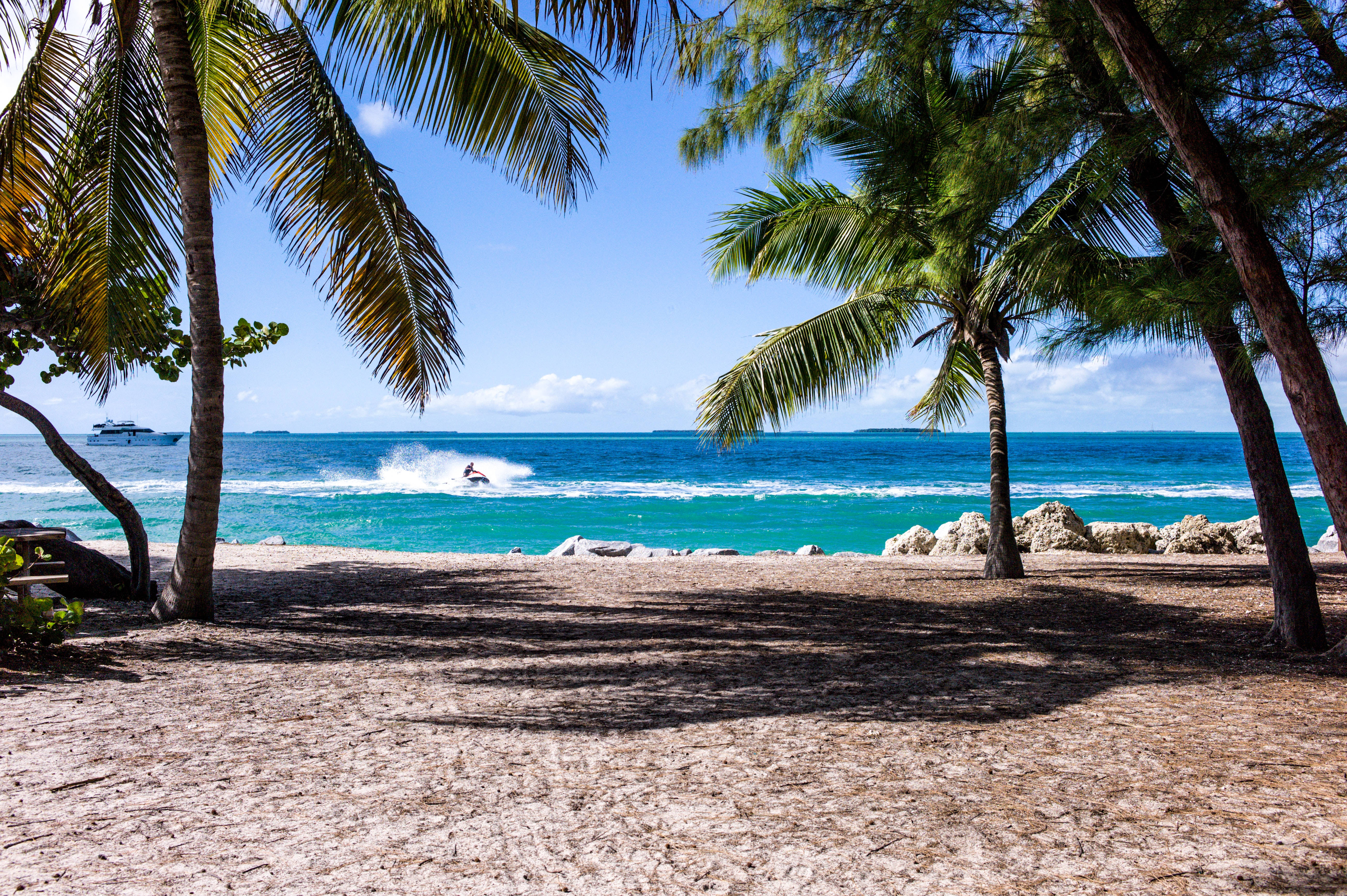 tropical coconut trees, palm trees, jet ski, 5K Desktop Wallpaper