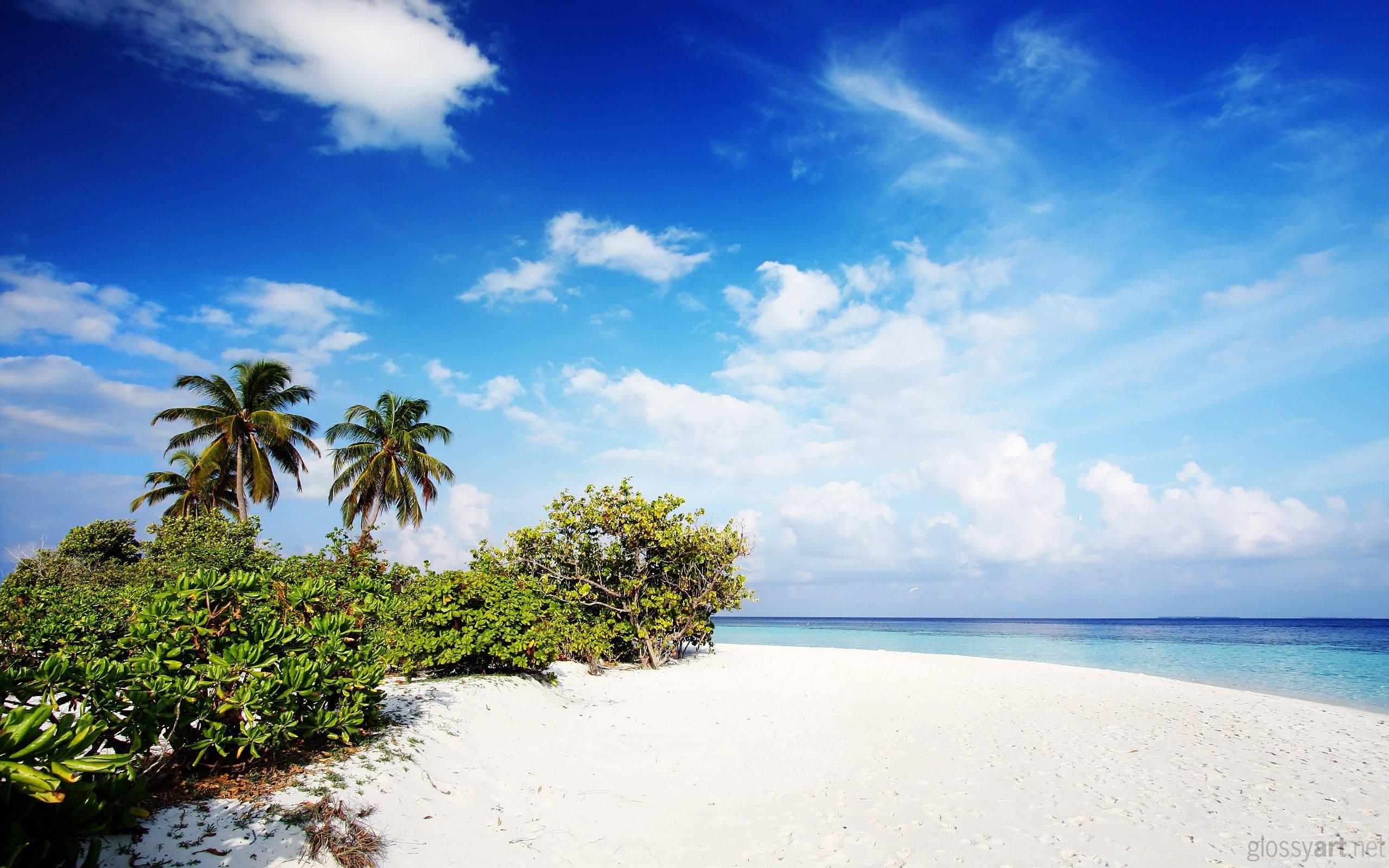 beach scenes desktop, pristine white sandy beach, vibrant blue sky, 2K Desktop Wallpaper