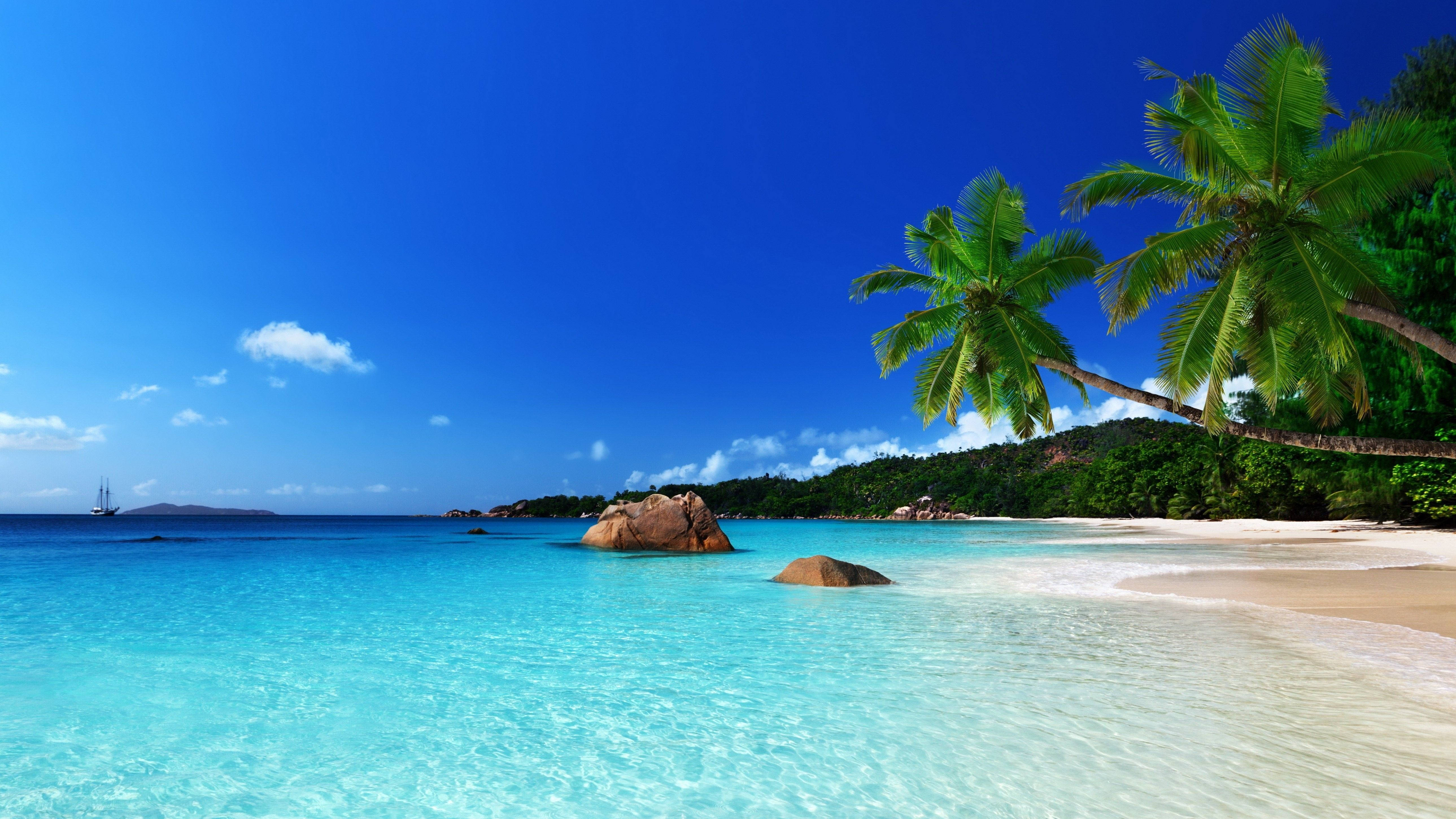 beach scenes desktop, sandy beach, turquoise waters, 5K Desktop Wallpaper