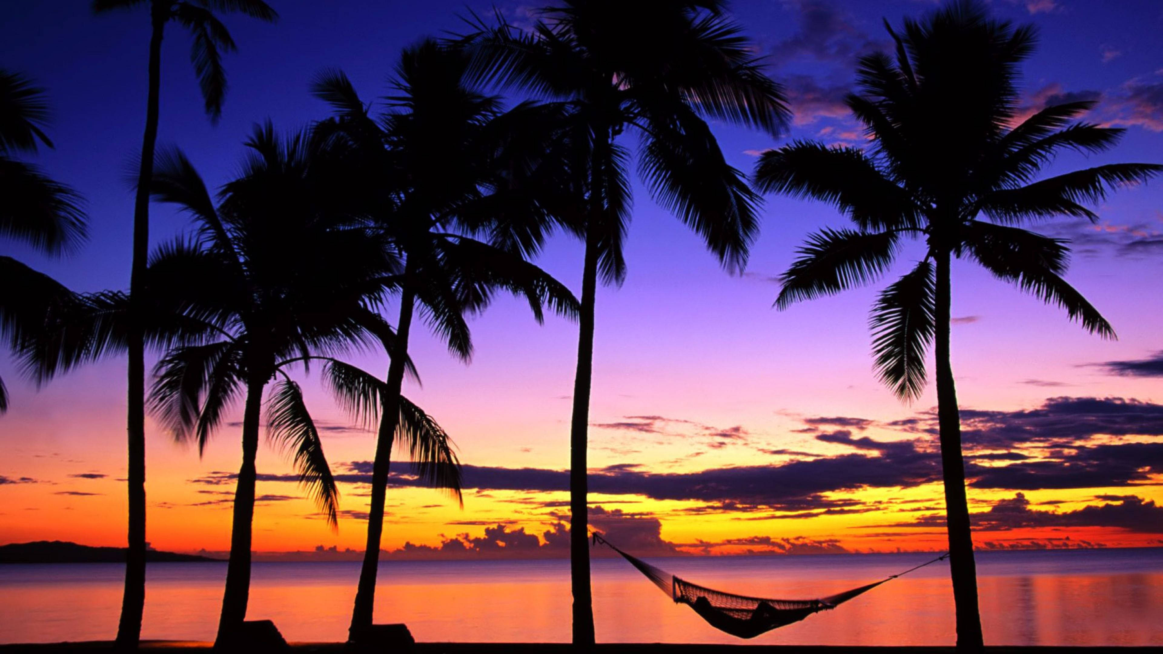 Sunset, palm trees, hammock, 4K Desktop Wallpaper