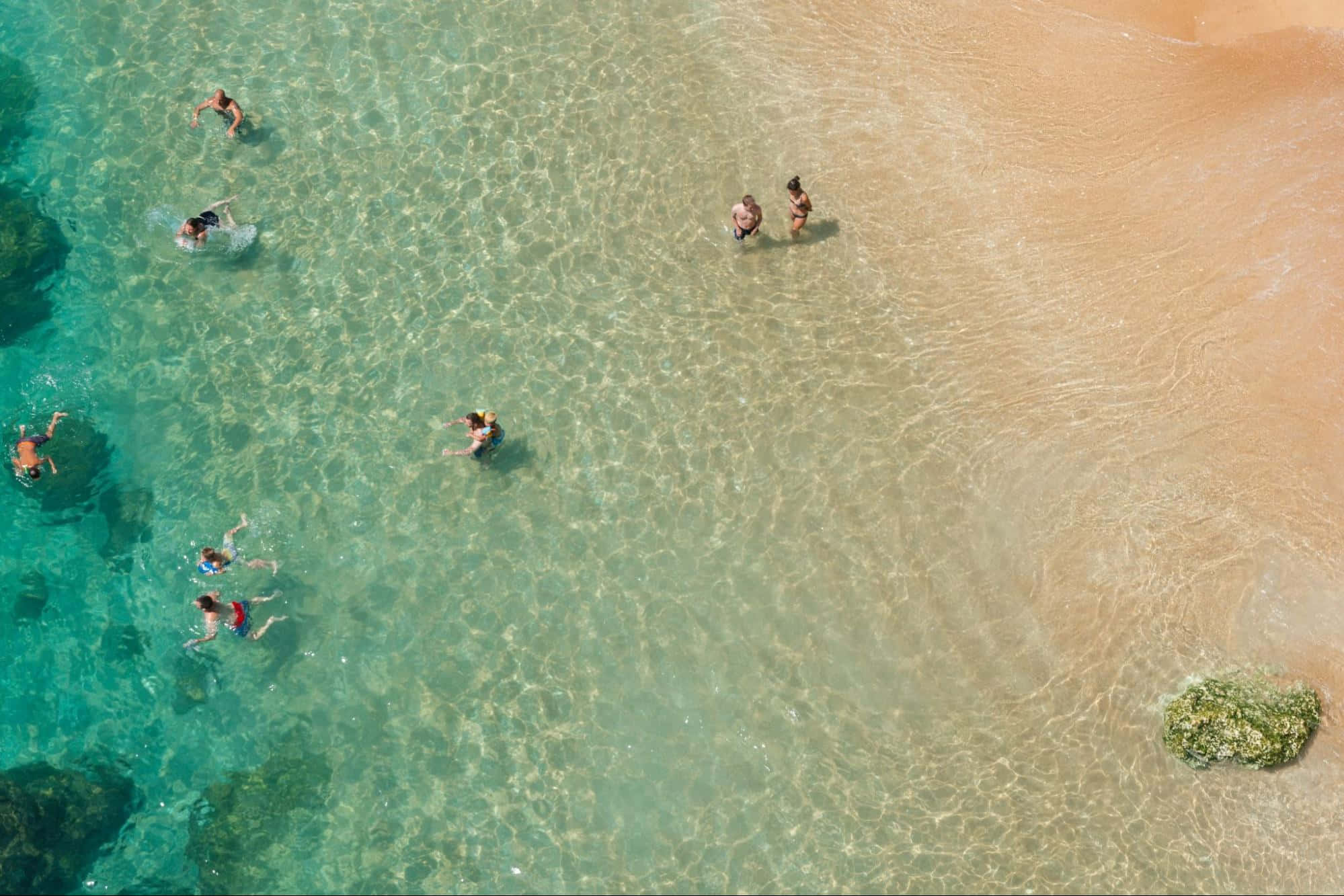 swimming on the shallow end, crystal clear turquoise water, golden sandy beach, Full HD Desktop Wallpaper