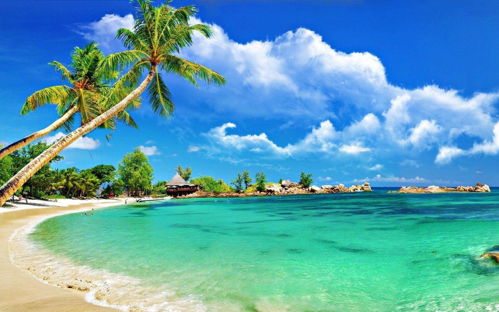 tropical beach, turquoise waters, gentle waves, HD Desktop Wallpaper