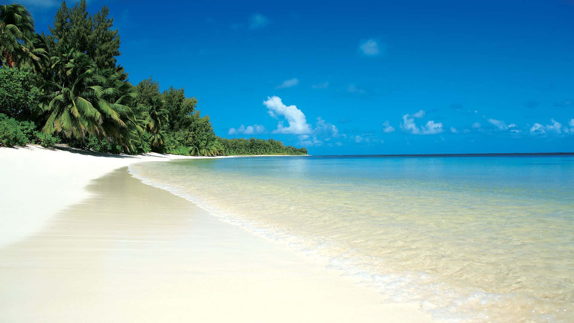 beach, white sandy beach, vibrant blue sky, Full HD Desktop Wallpaper