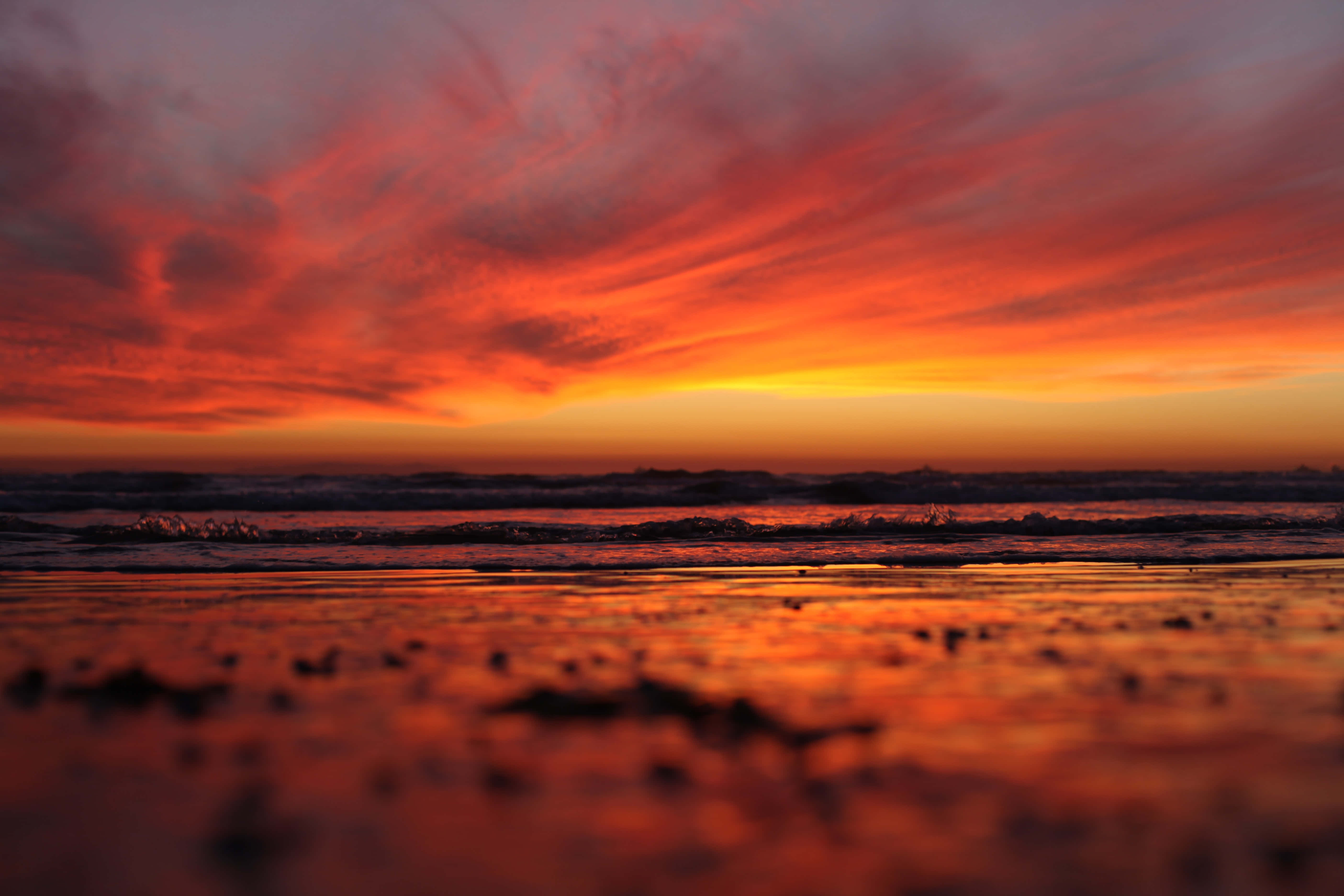 sandy beach, fiery sunset, vivid reds oranges and yellows, 5K Desktop Wallpaper