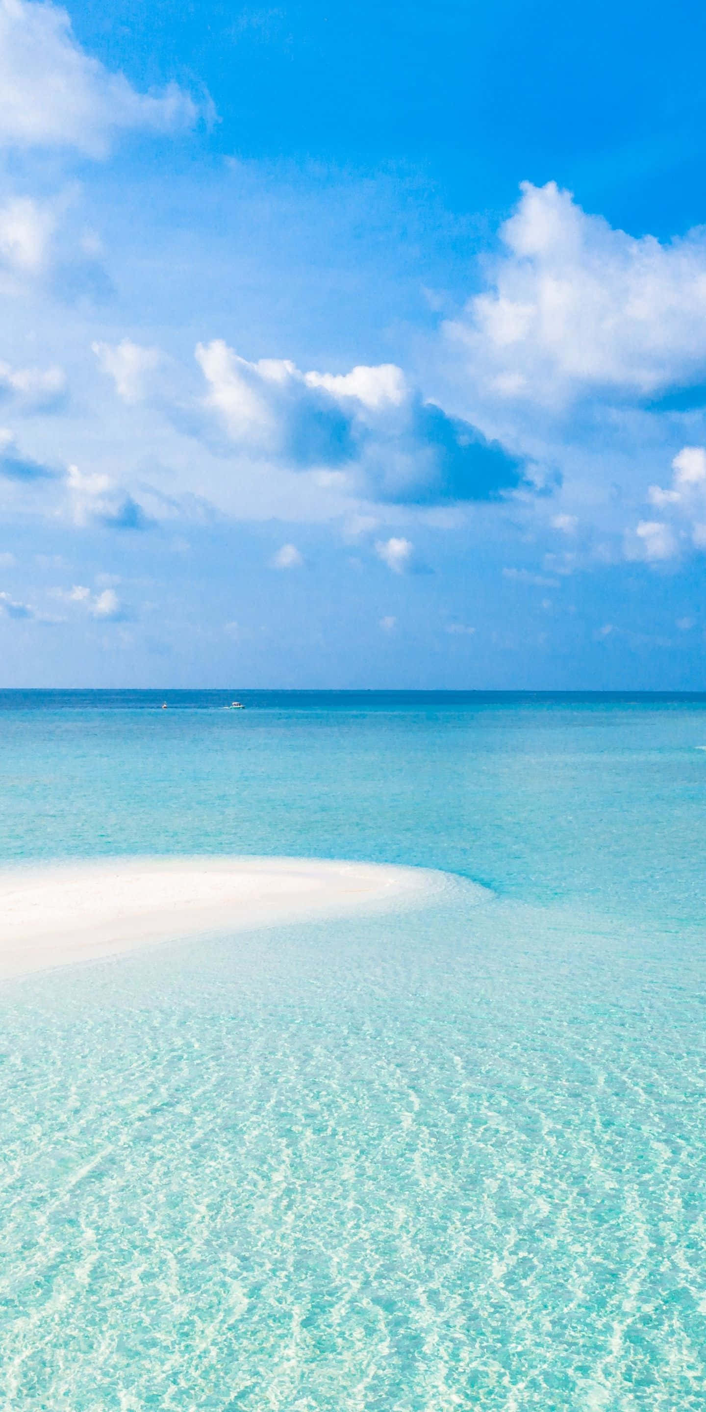 tropical beach, white sandbar, crystal clear turquoise water, 2K Phone Wallpaper