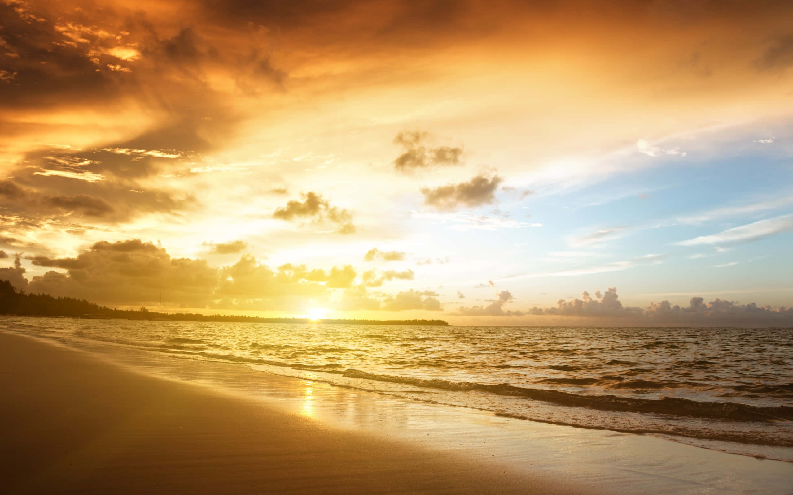 beach sky, golden sunset, warm hues, 2K Desktop Wallpaper