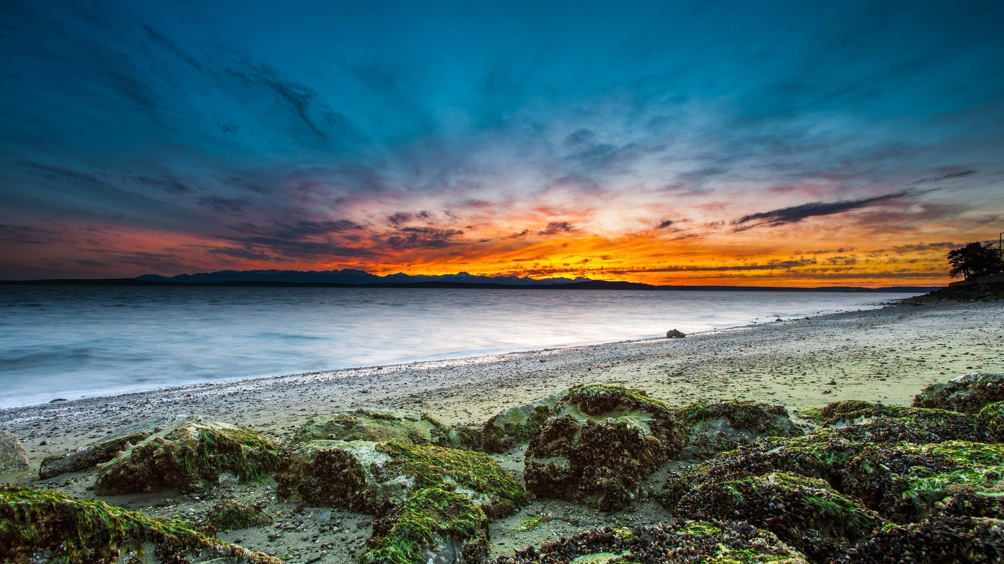 beach, sunset, orange sky, 4K Desktop Wallpaper