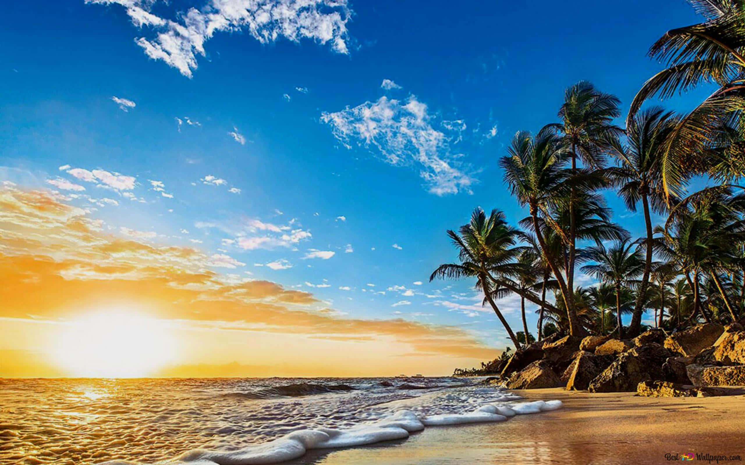 Golden sunset, tropical beach, palm trees, 2K Desktop Wallpaper