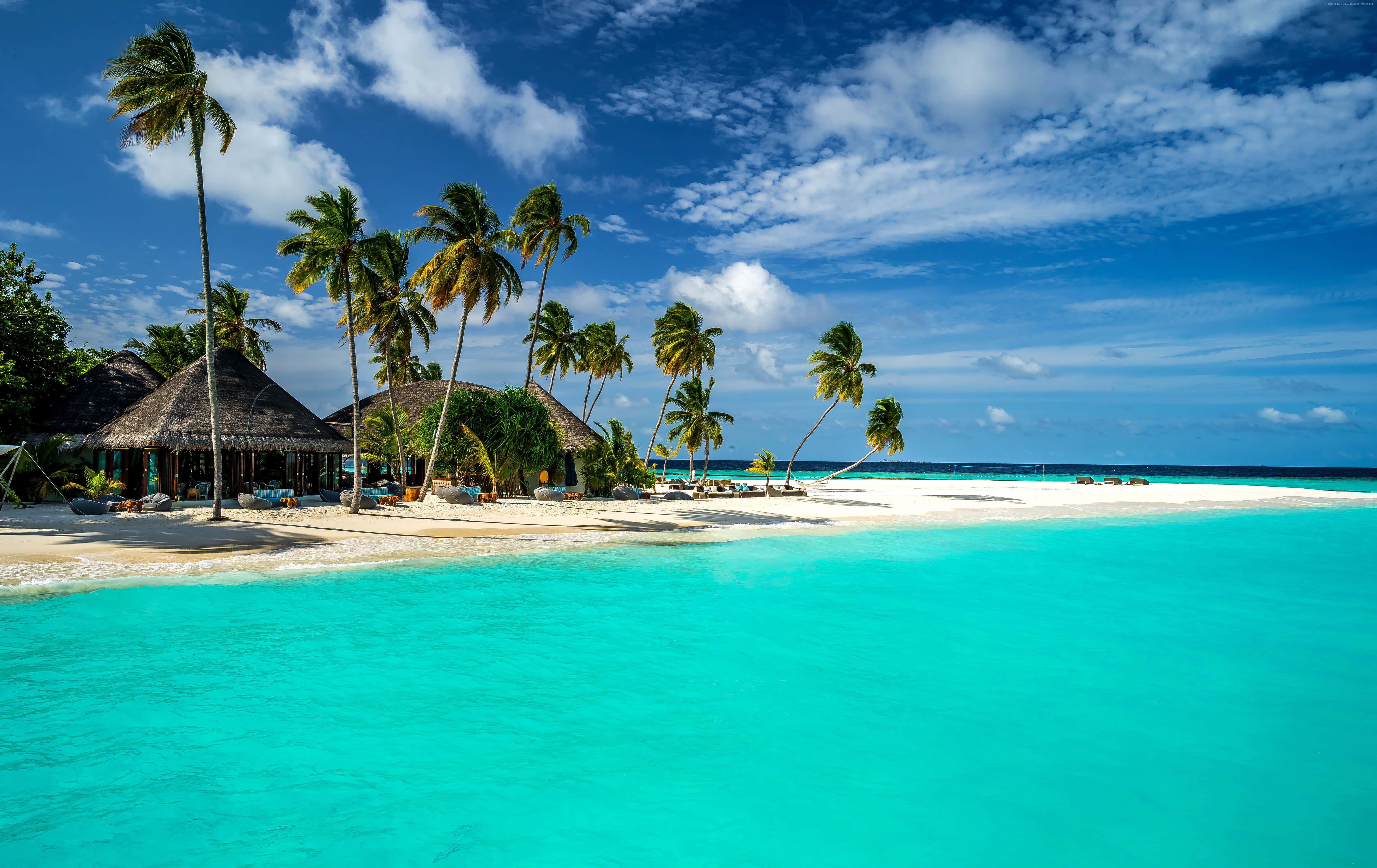 turquoise lagoon, white sand beach, palm trees, 5K Desktop Wallpaper