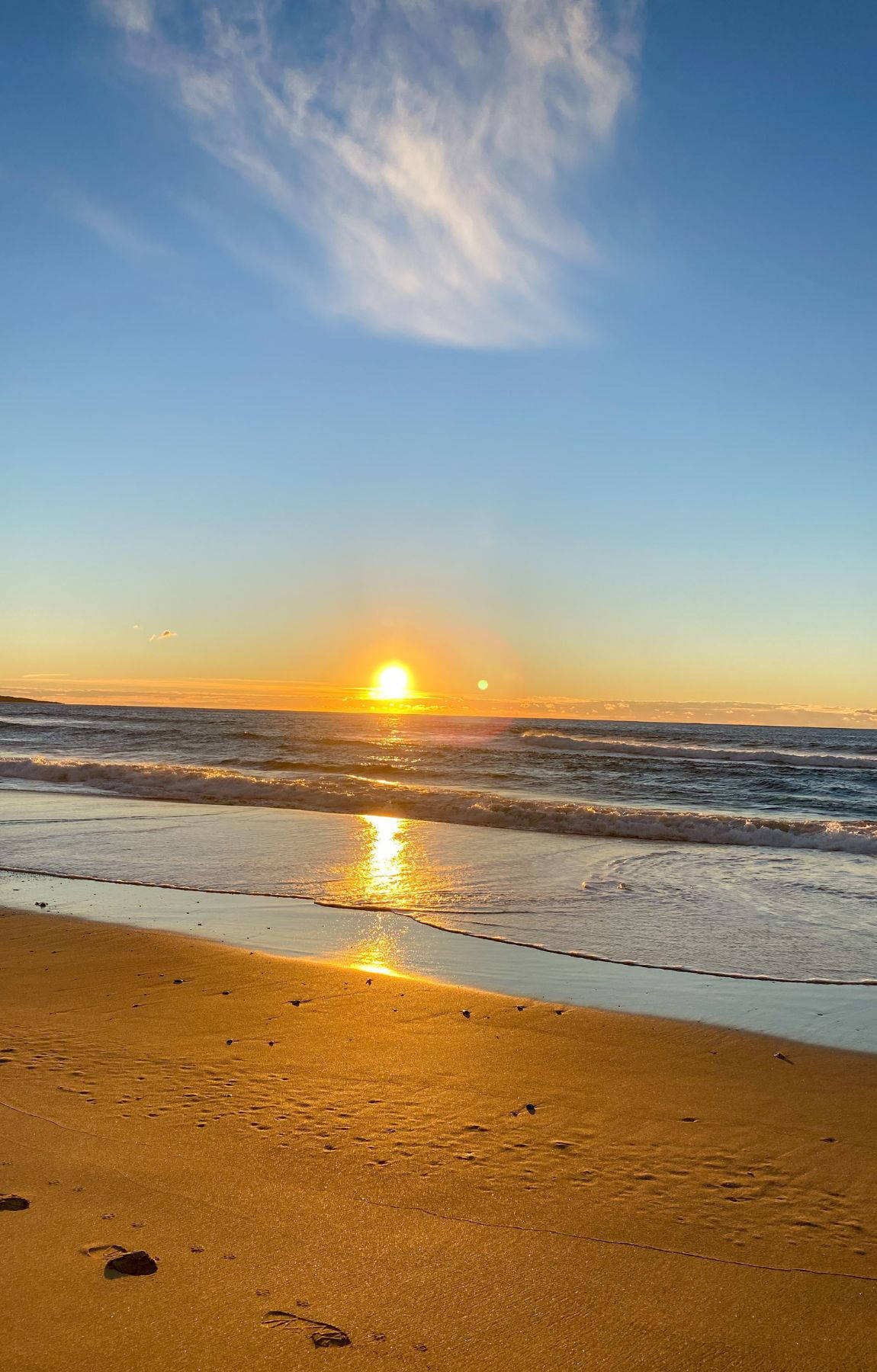Ocean Horizon, beach sunrise, golden sunset, HD Phone Wallpaper