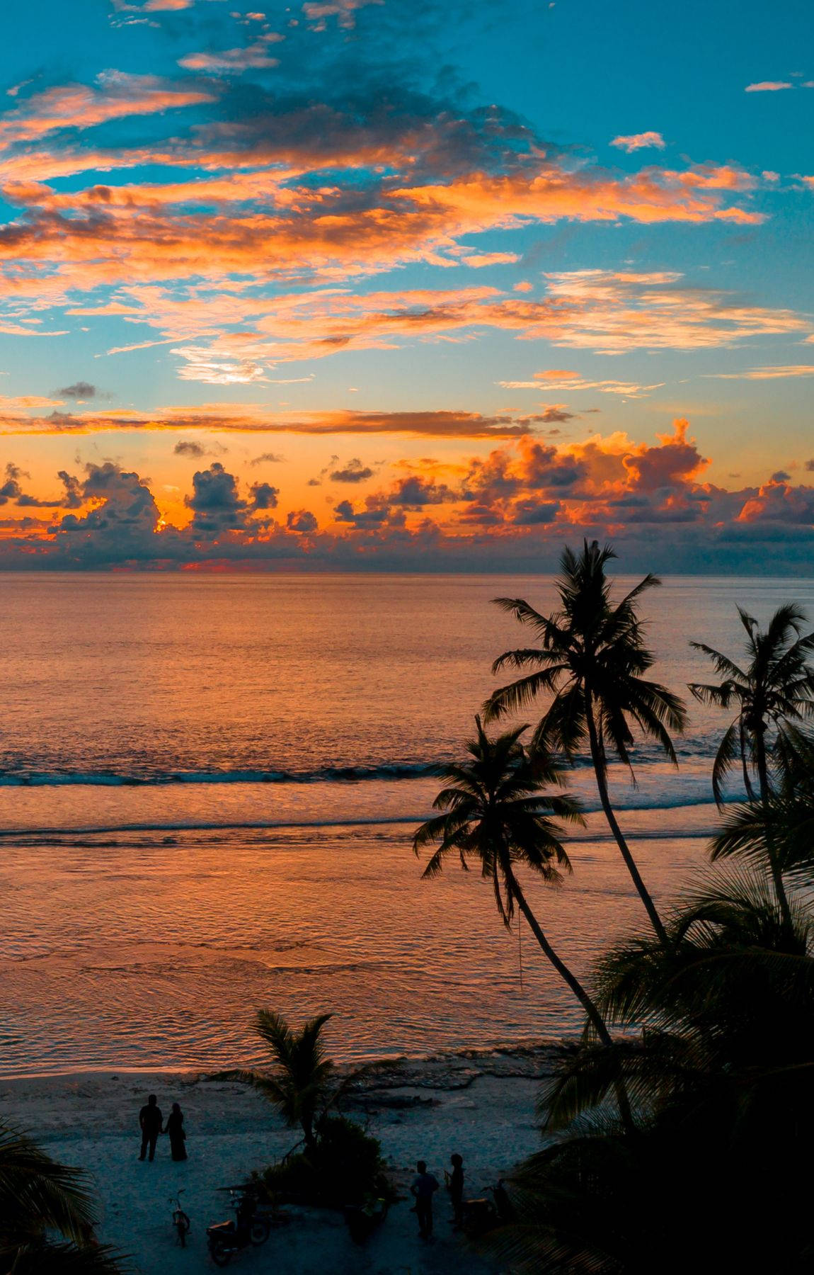 tropical beach sunrise, silhouette, palm trees, HD Phone Wallpaper