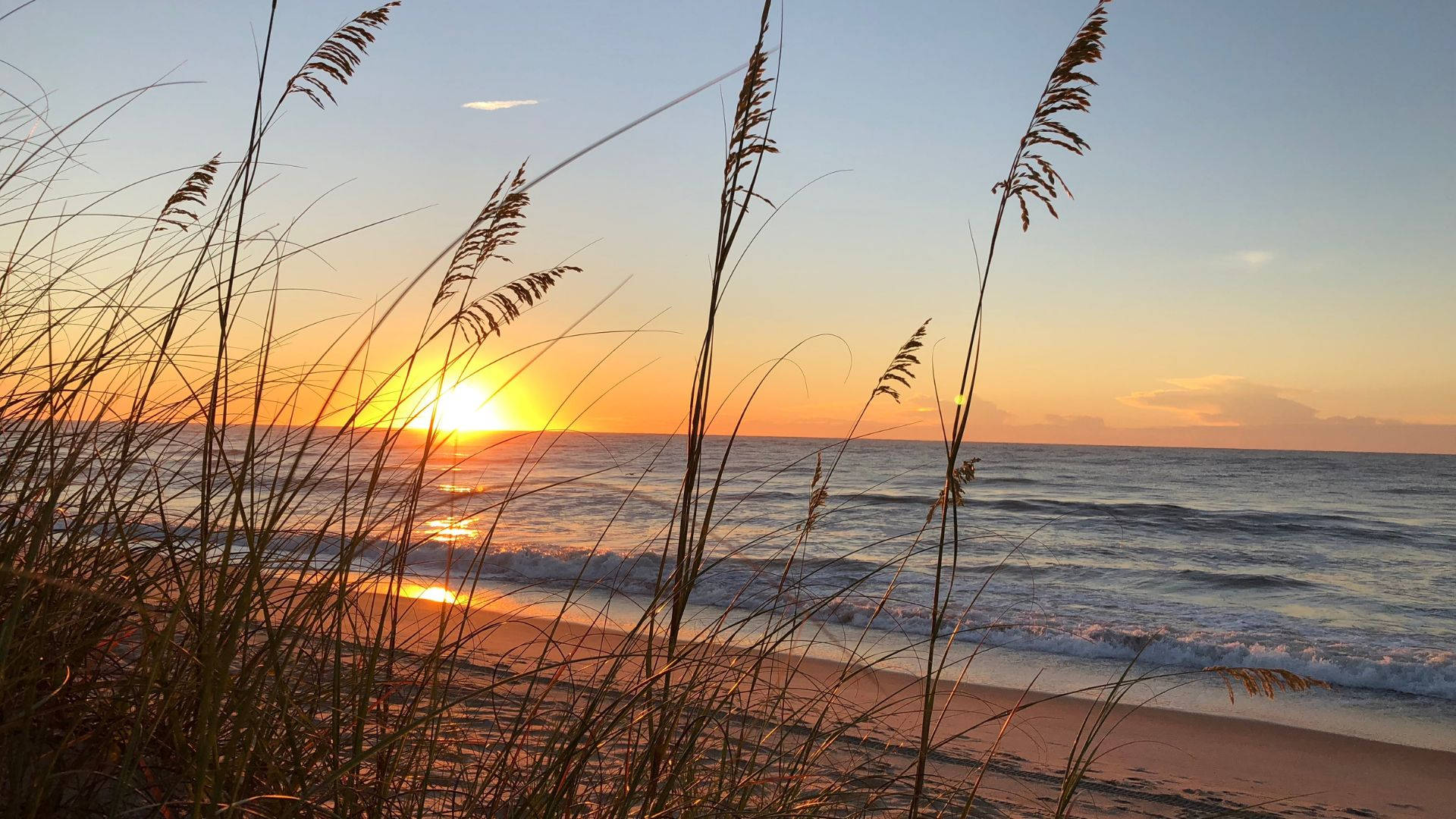 beach sunrise, sunset, beach grasses, Full HD Desktop Wallpaper