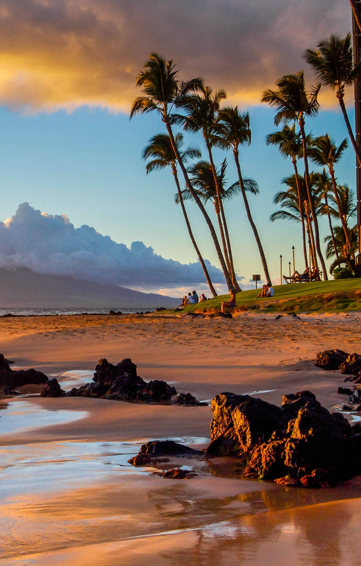 tropical beach sunrise, golden sunset, palm trees, HD Phone Wallpaper