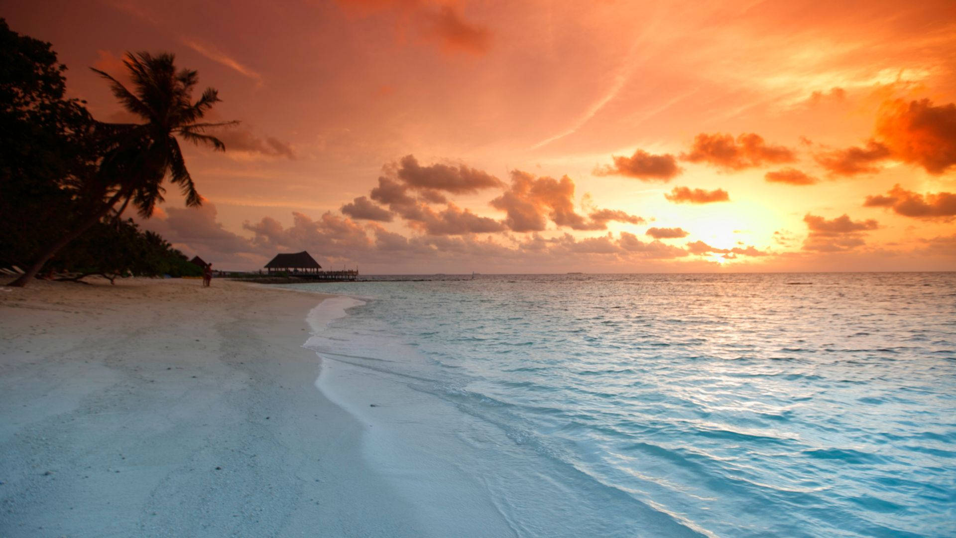 tropical orange, beach, sunset, Full HD Desktop Wallpaper