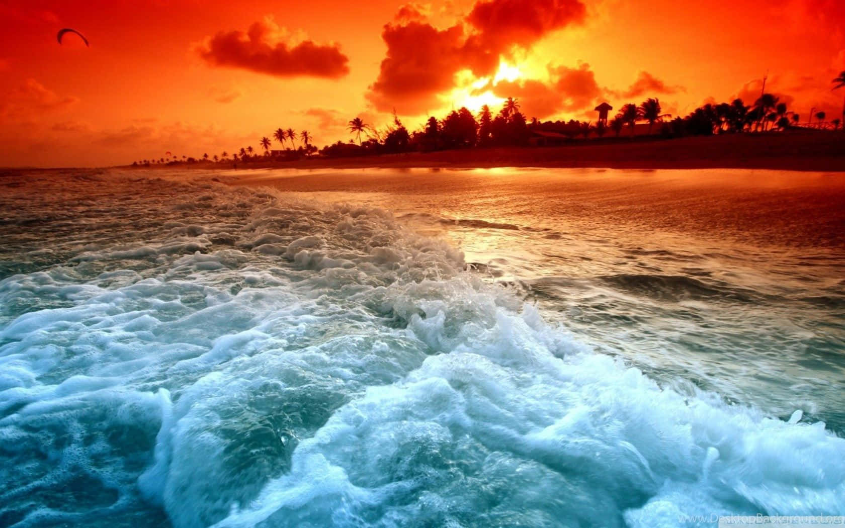 beach sunset desktop, sunset, tropical shore, HD Desktop Wallpaper