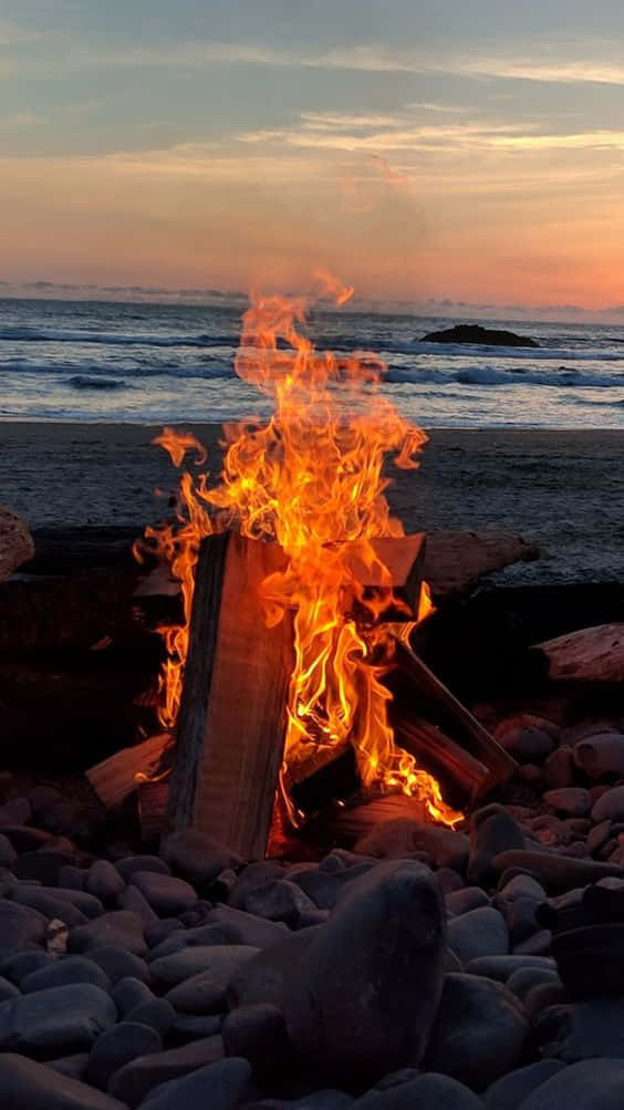 Aesthetic Beach Camp Fire, sunset, rocky beach, SD Phone Wallpaper
