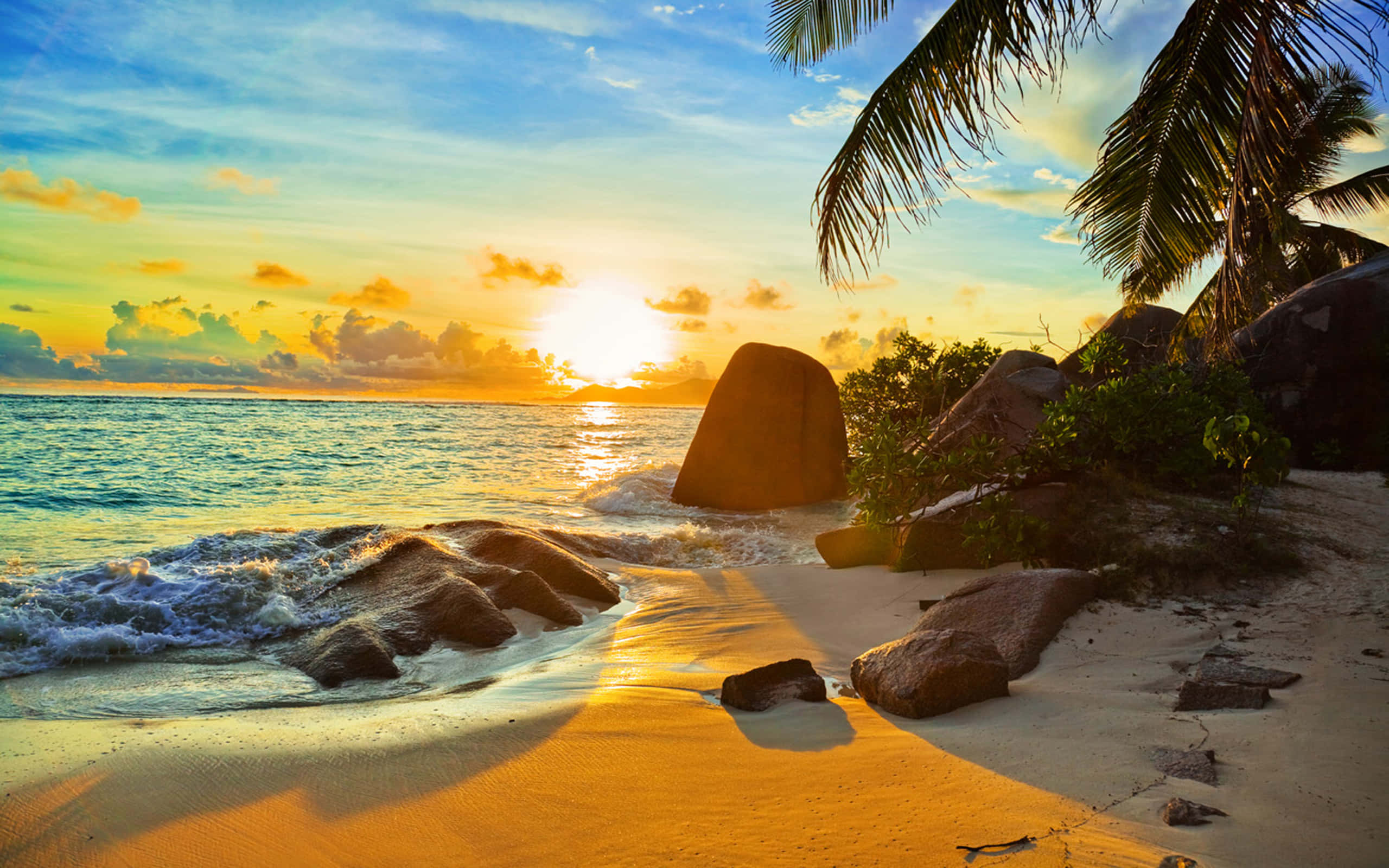 Beach Sunset, palm trees, tropical beach, 2K Desktop Wallpaper