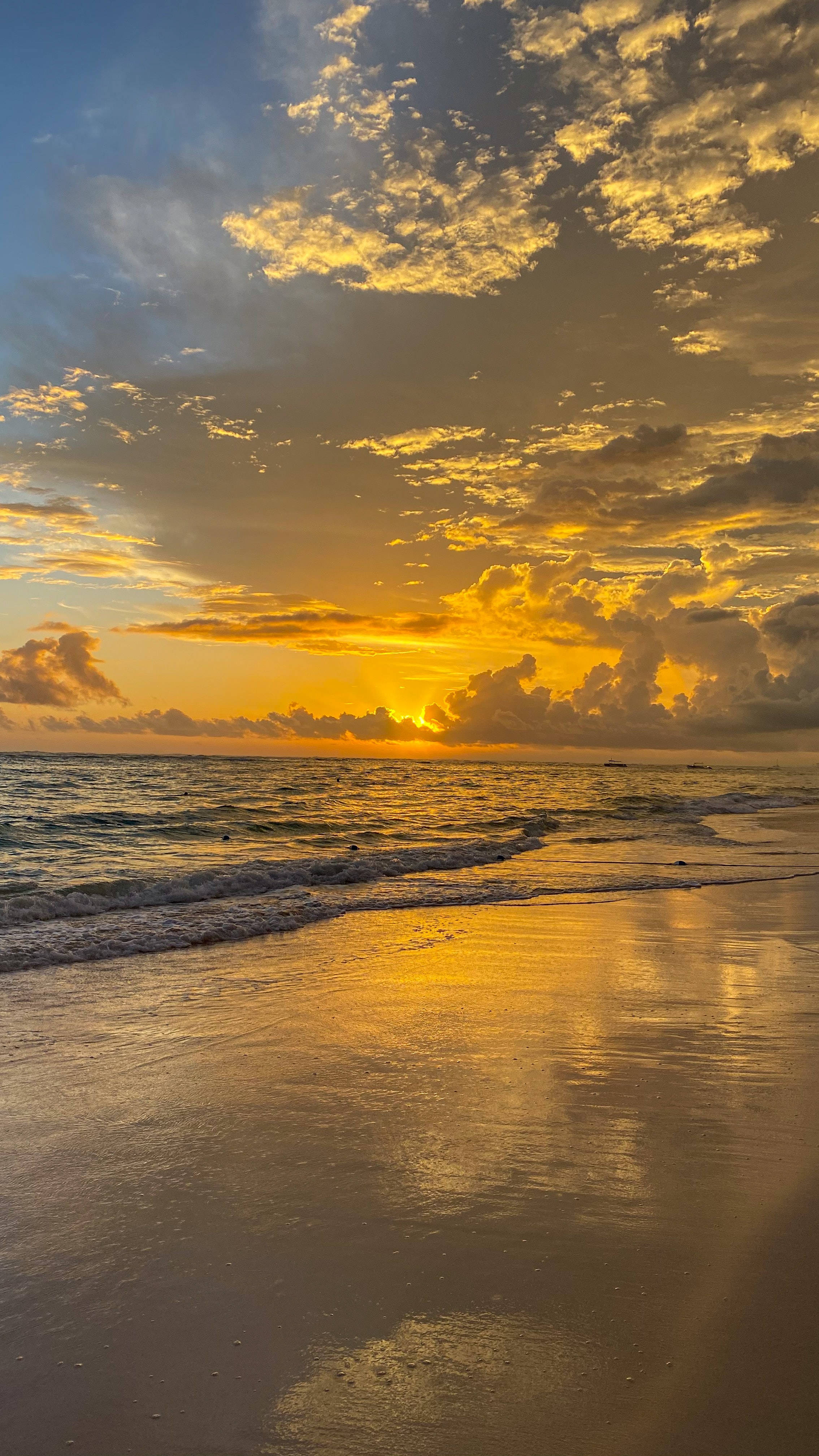 yellow sunset, beach, golden sunset, 4K Phone Wallpaper