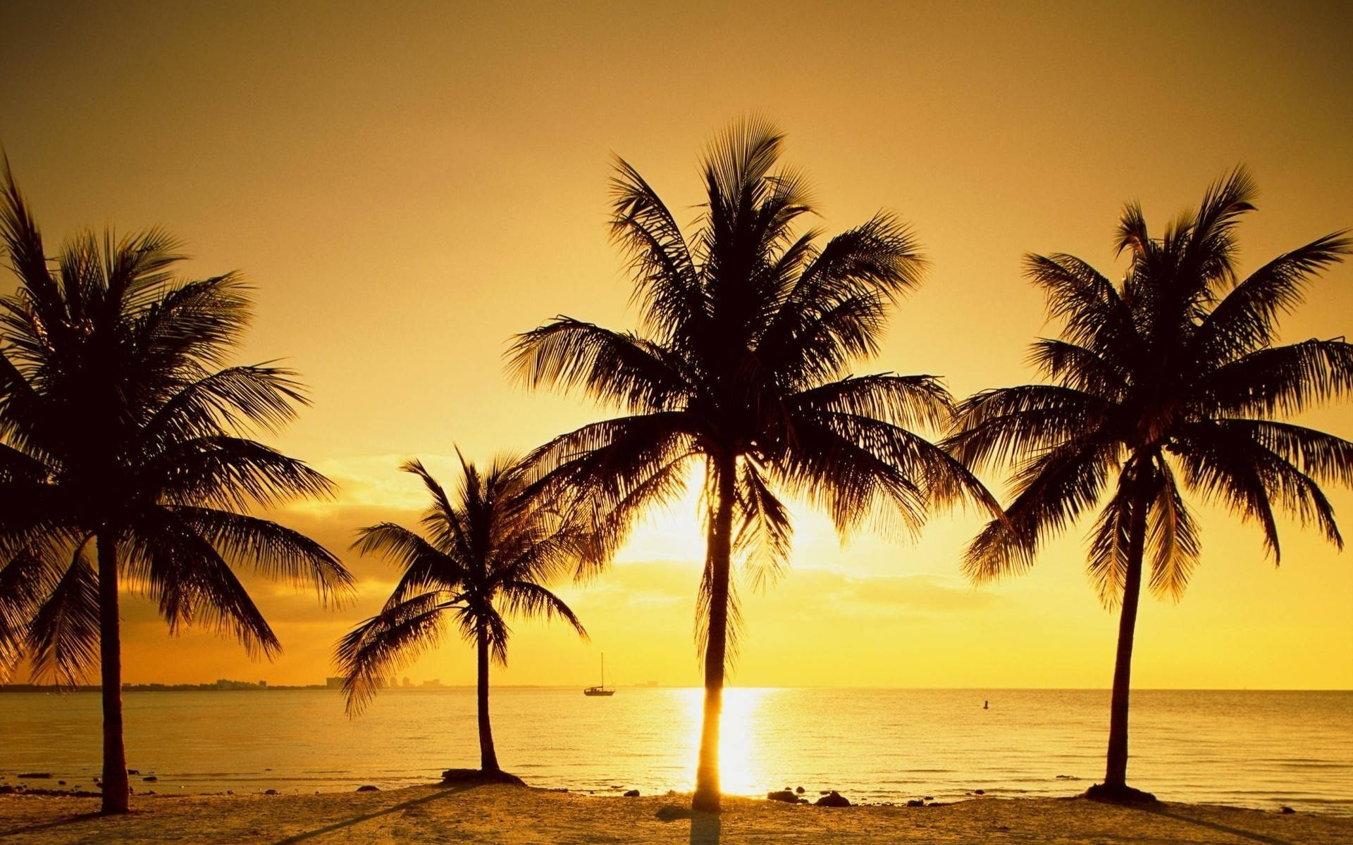palm trees, beach, sunset, Full HD Desktop Wallpaper