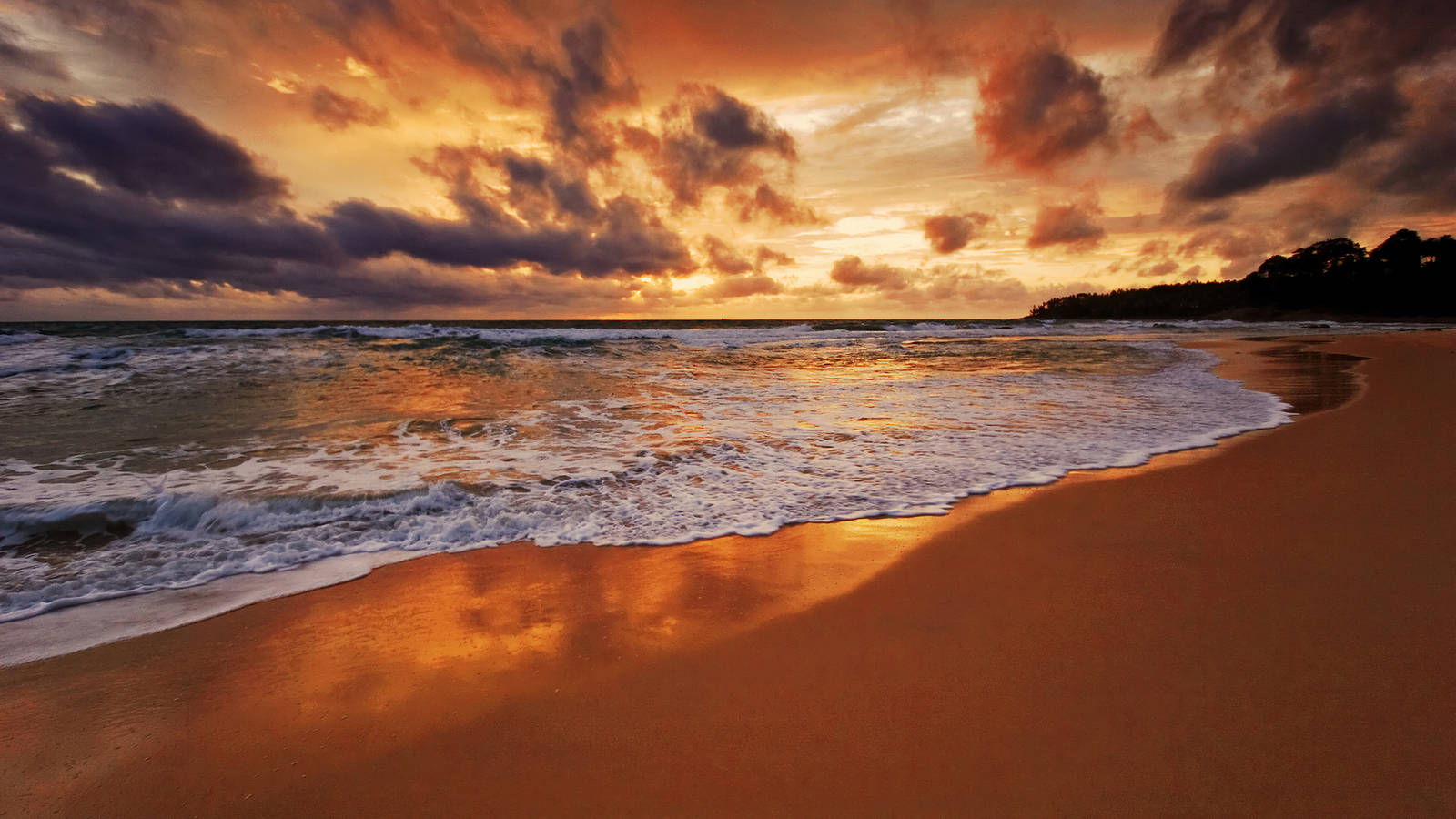 Golden Hour Beach Desktop, golden sunset, warm sand, HD Desktop Wallpaper