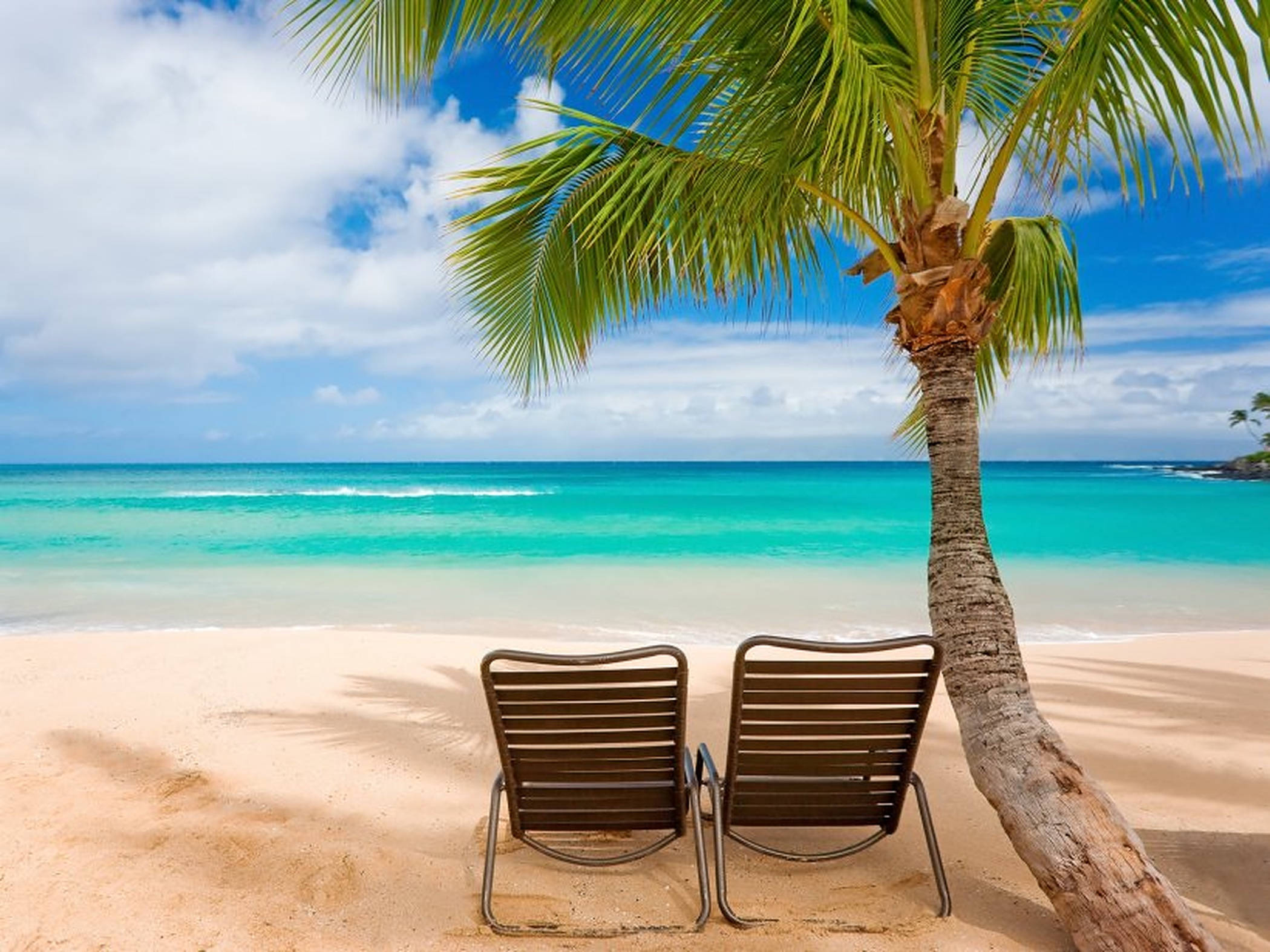 Serene View Beach Vacation, lounge chairs, palm tree, Full HD Desktop Wallpaper