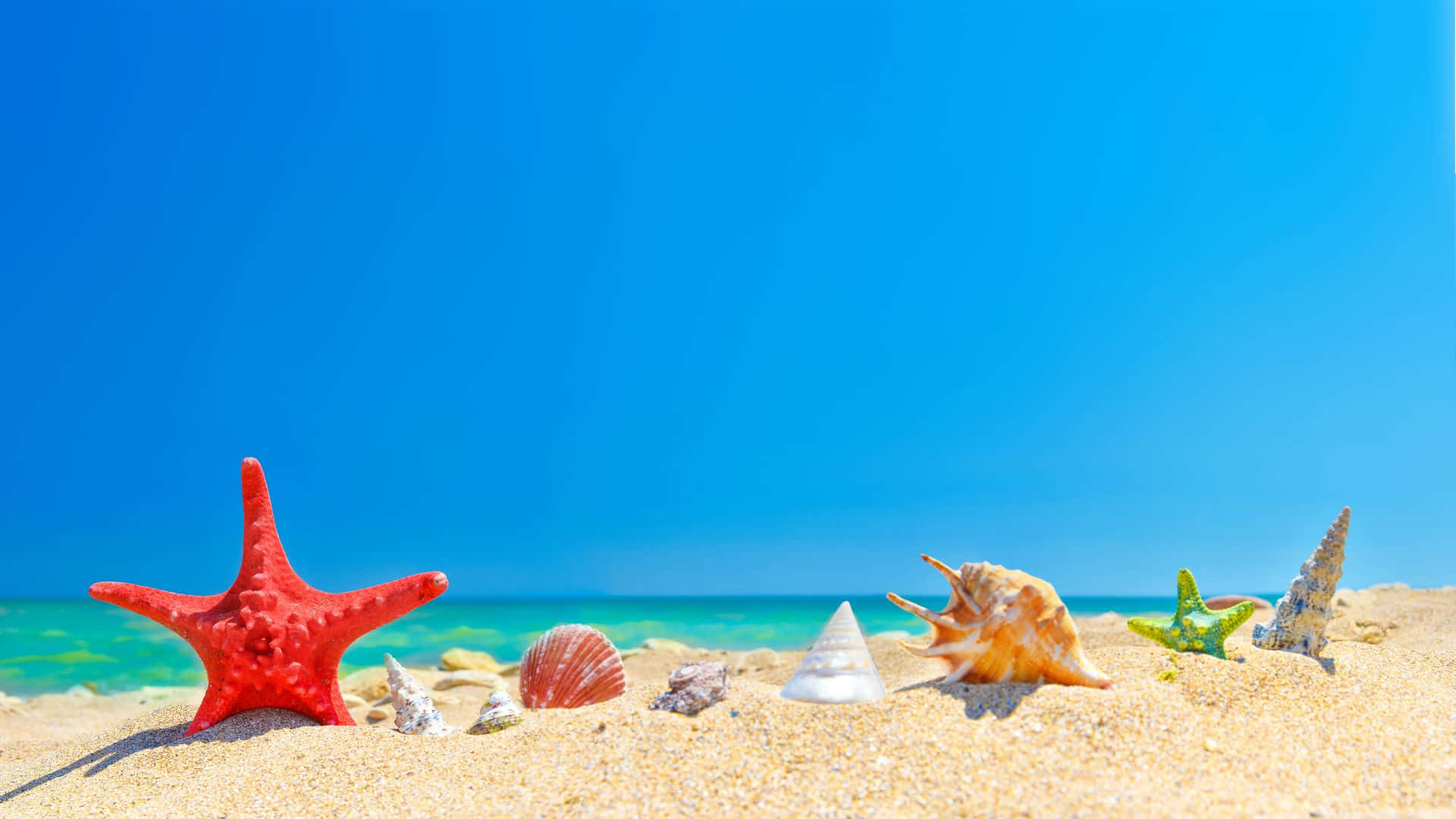 Vibrant red starfish, assorted seashells, golden sand, Full HD Desktop Wallpaper