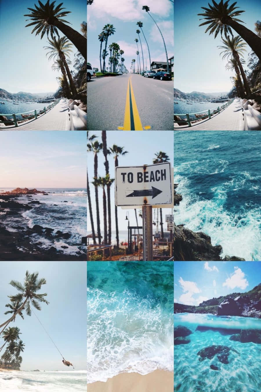 Beach Collage, palm trees, ocean waves, HD Phone Wallpaper