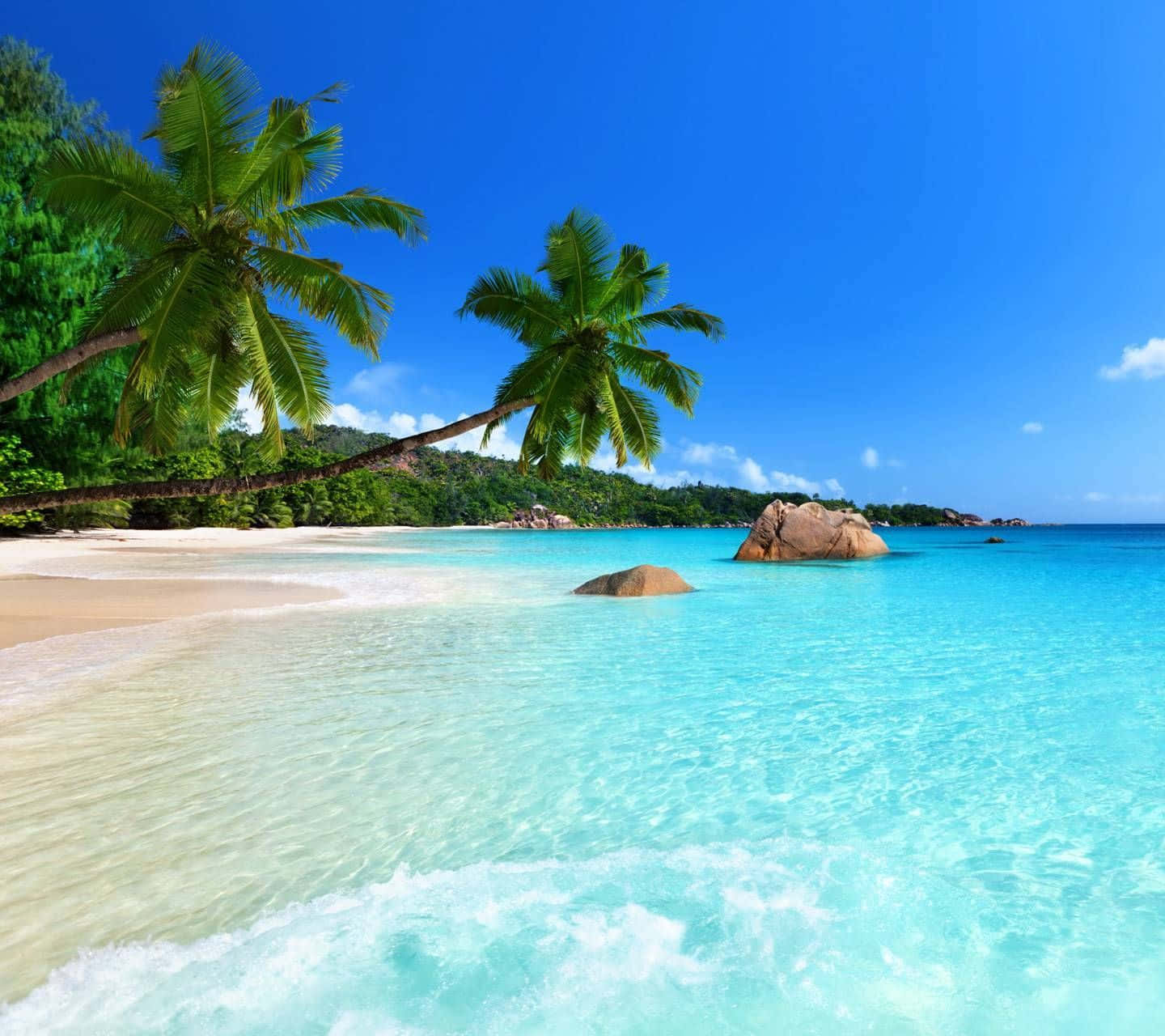 tropical beach scene, clear blue waters, turquoise waters, HD Desktop Wallpaper