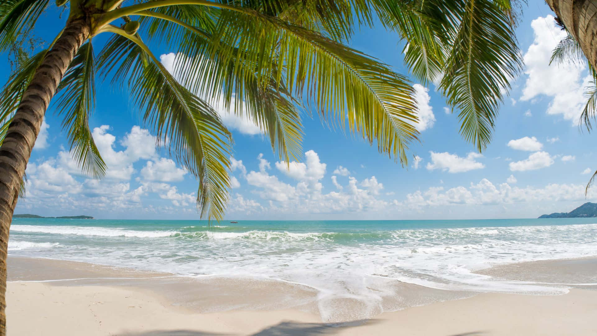 tropical beach scene, palm fronds, turquoise waves, Full HD Desktop Wallpaper