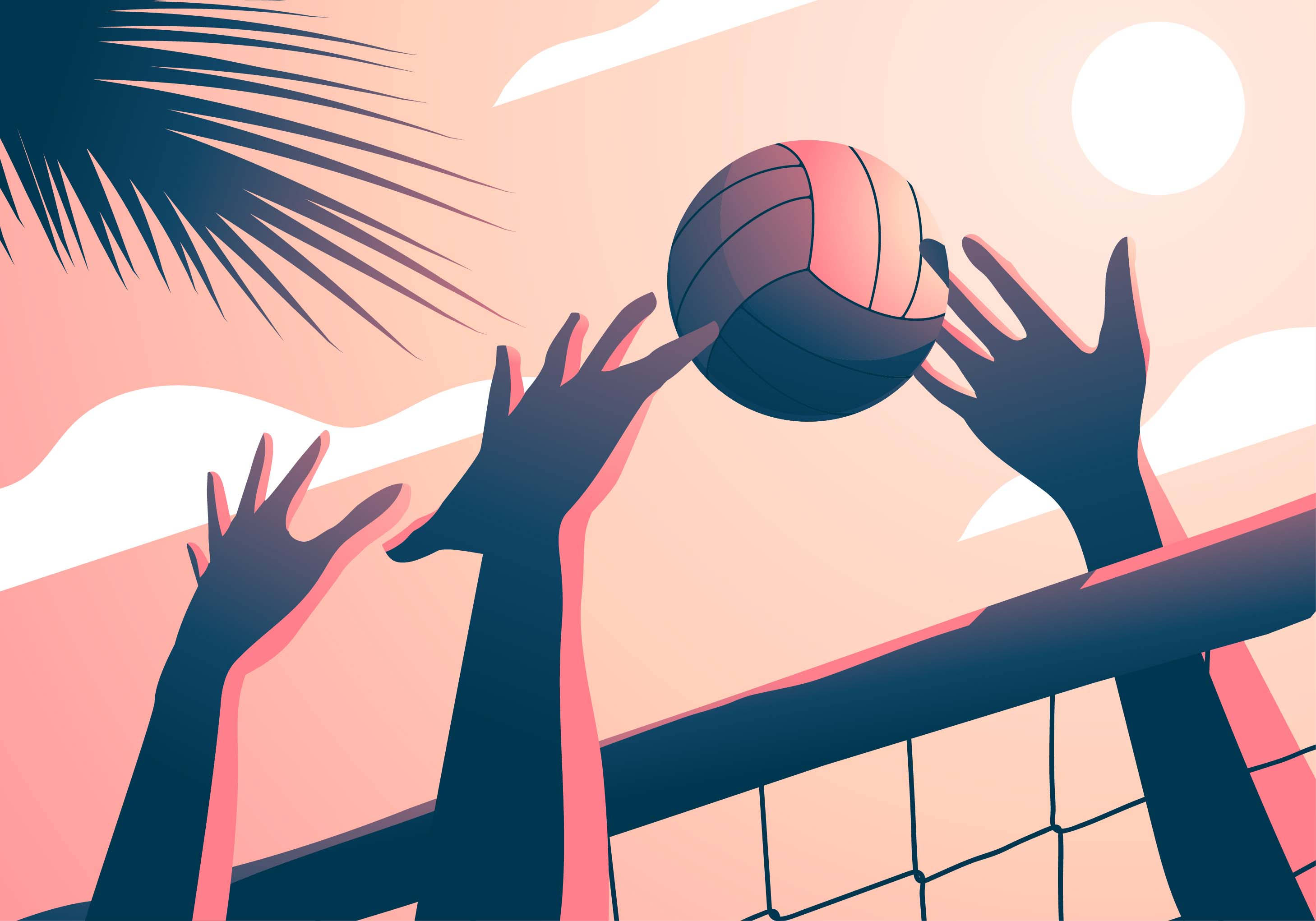 volleyball, pastel sunset, palm fronds, 2K Desktop Wallpaper