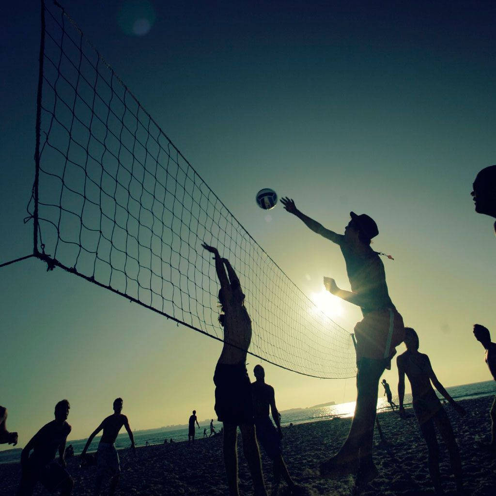 beach volleyball, sunny day, silhouette, SD Desktop Wallpaper
