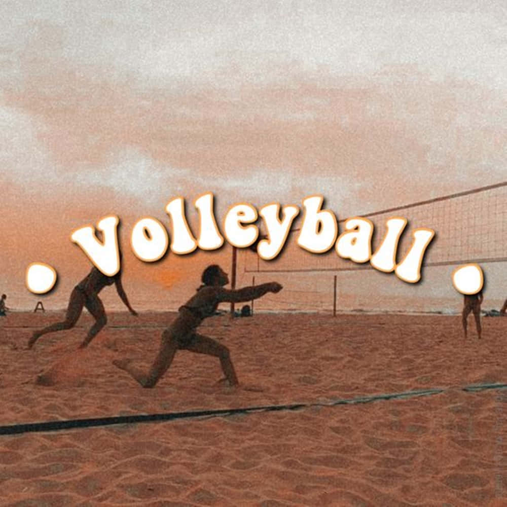 beach volleyball, sandy court, warm sunset sky, SD Desktop Wallpaper