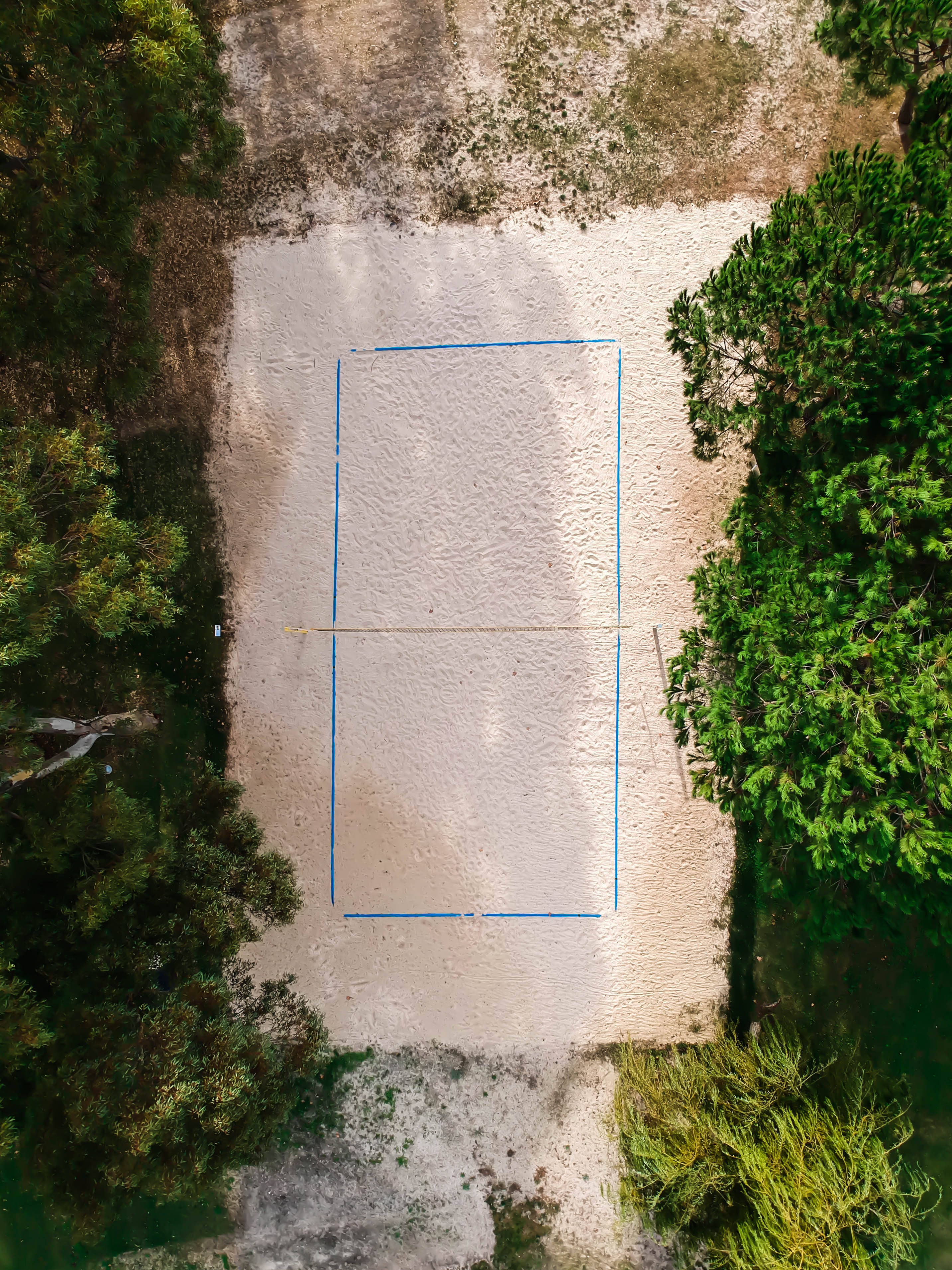 sandy volleyball court, blue tape, dense green trees, 2K Phone Wallpaper