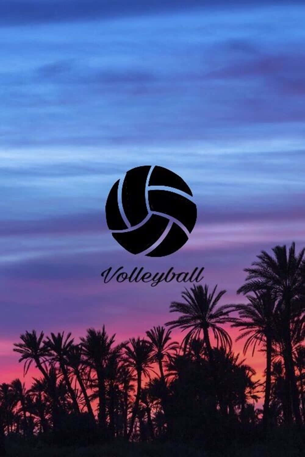 black volleyball, vibrant twilight sky, palm trees, HD Phone Wallpaper