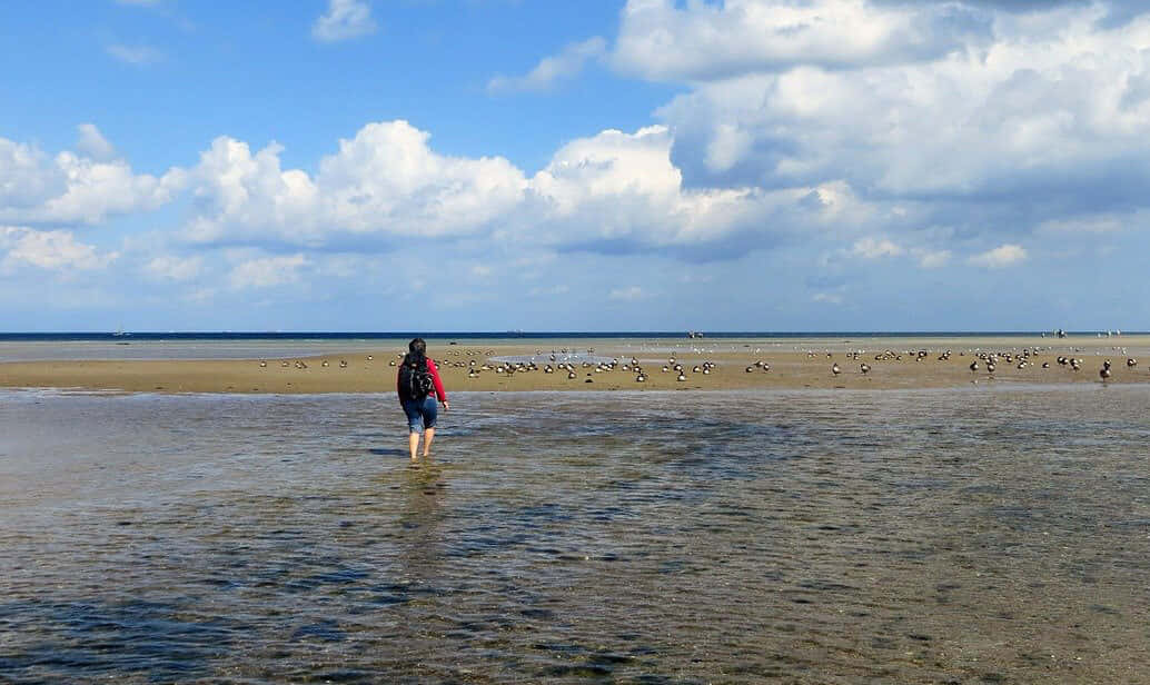 Beach Walk, red jacket, shallow water, SD Desktop Wallpaper