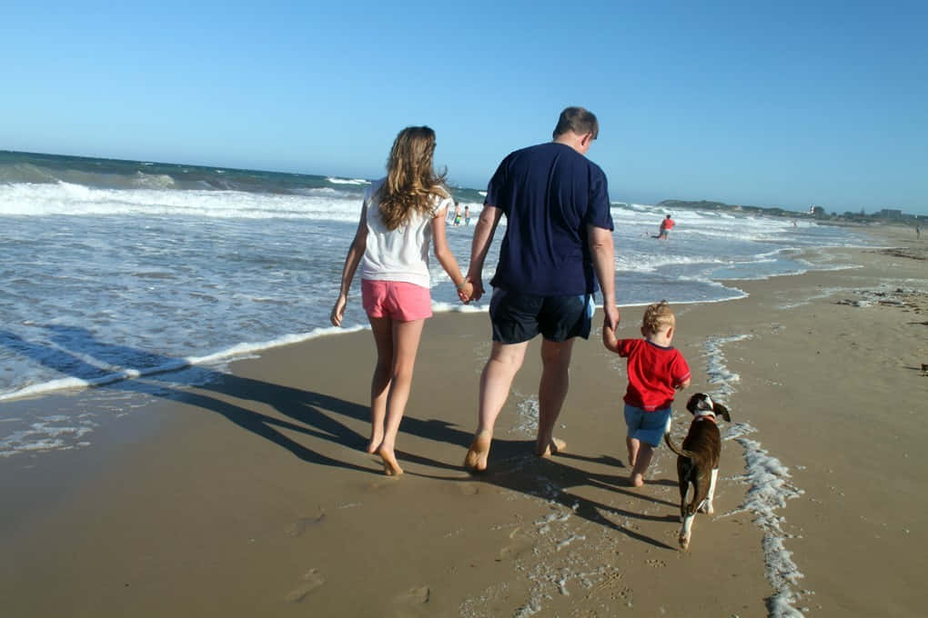 Beach Walk, sunset, family of three, SD Desktop Wallpaper