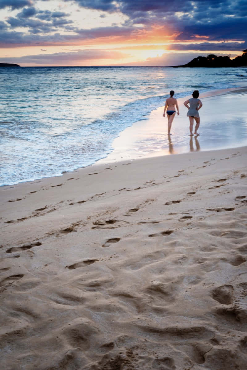 Beach Walk, sunset, sandy beach, SD Phone Wallpaper