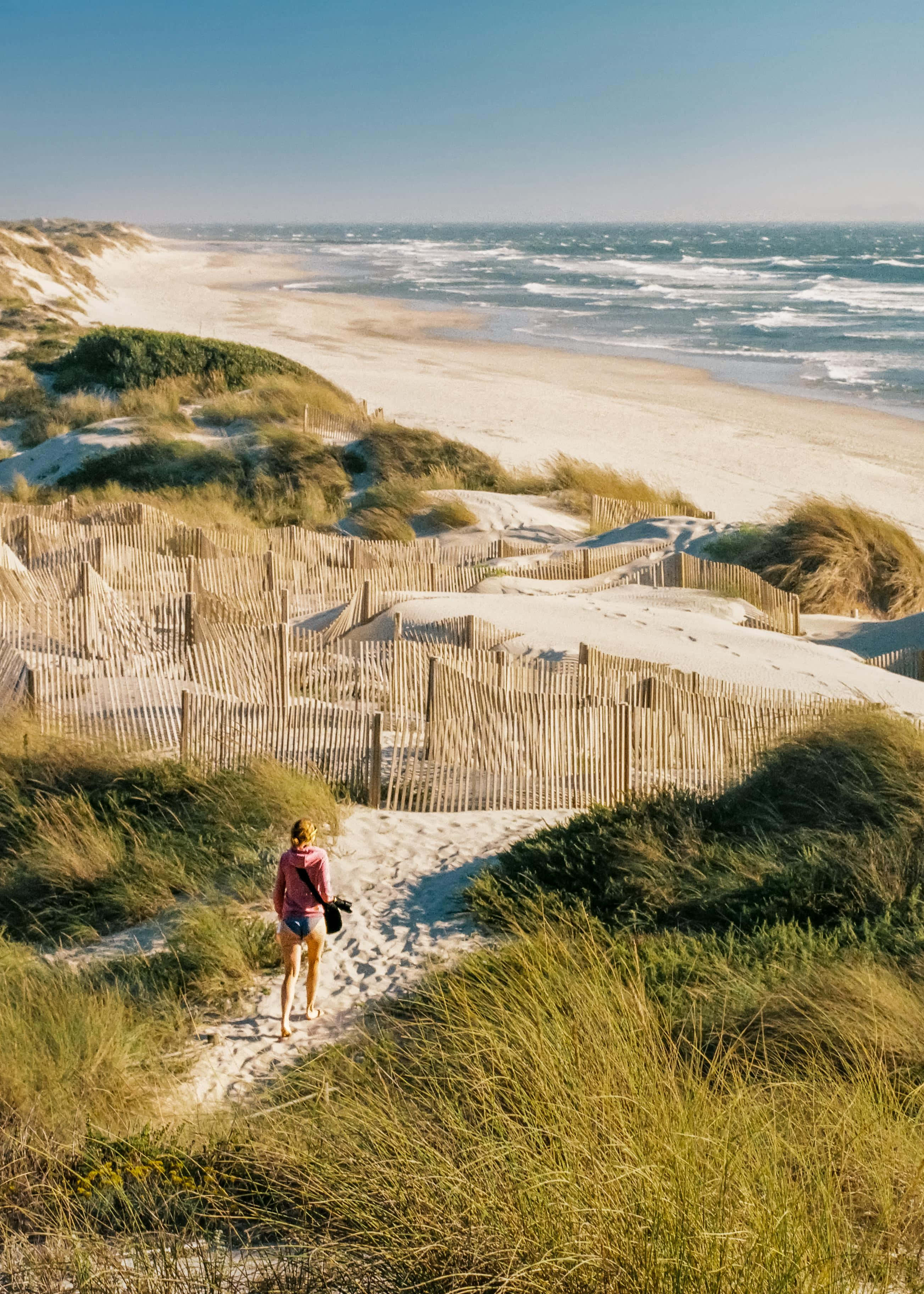 Beach Walk, sandy path, grassy dunes, 2K Phone Wallpaper