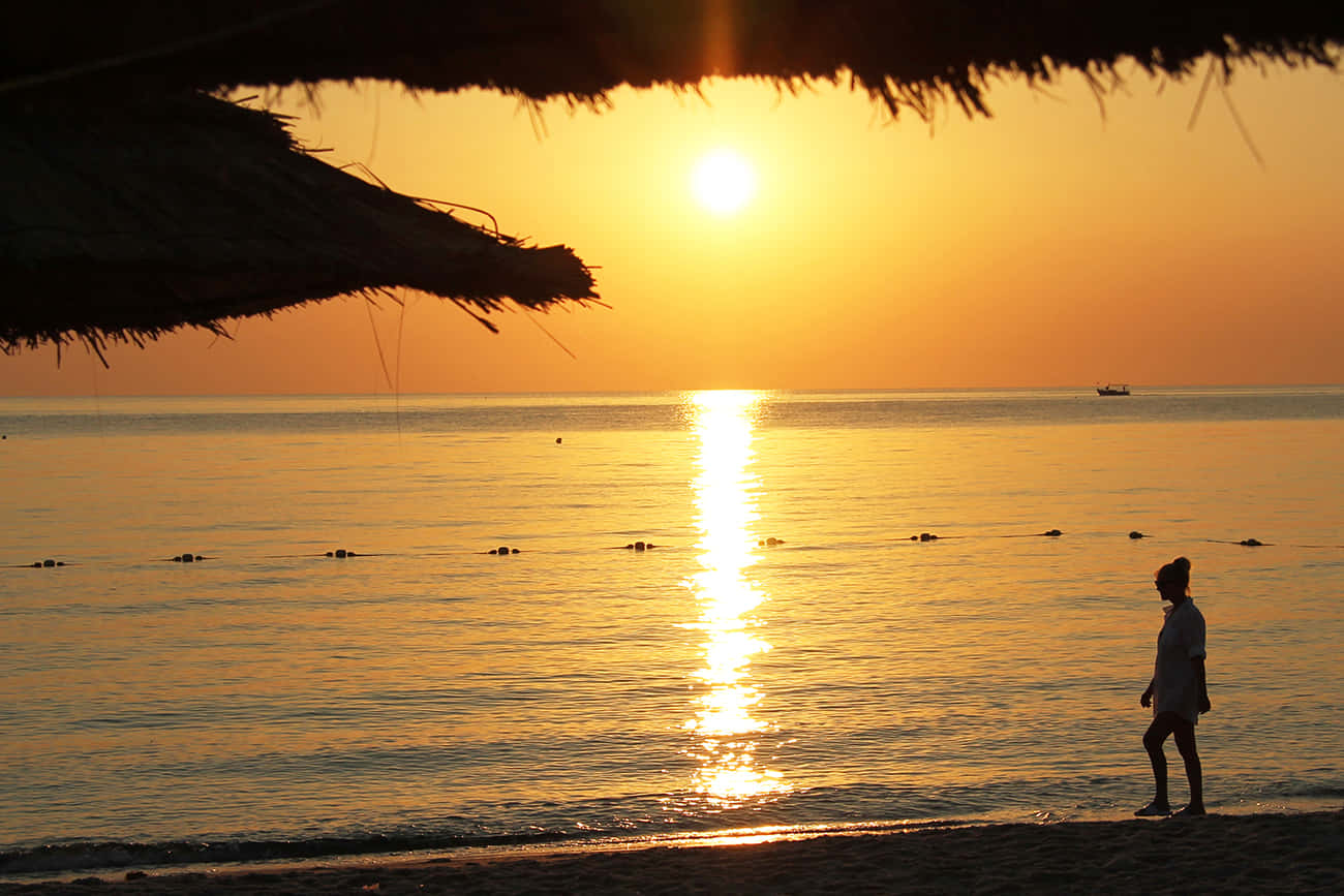 Beach Walk, golden sunset, tranquil beach, HD Desktop Wallpaper