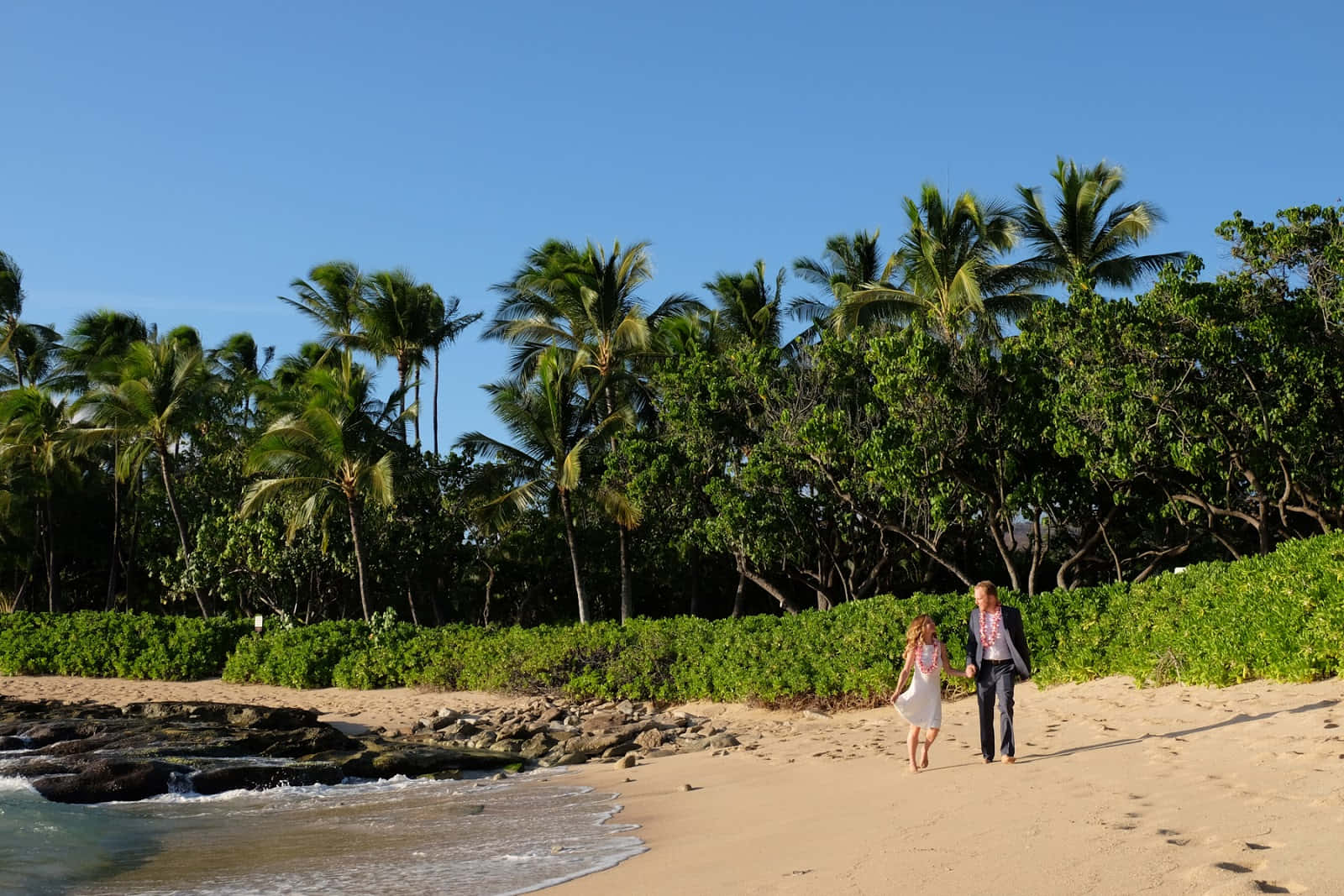 Beach Walk, sunlit sandy beach, lush green palm trees, HD Desktop Wallpaper
