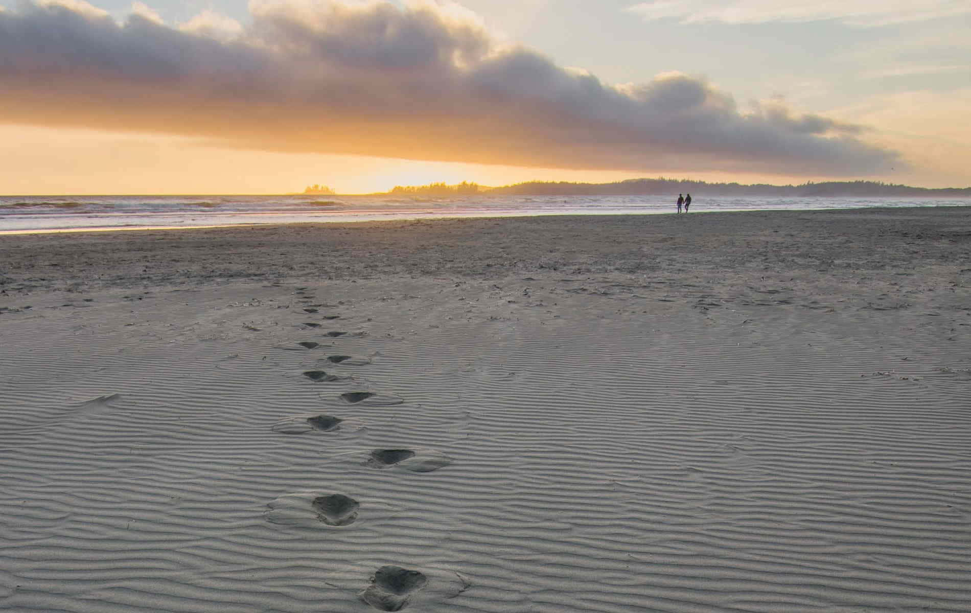 Beach Walk, sunset, ocean, HD Desktop Wallpaper
