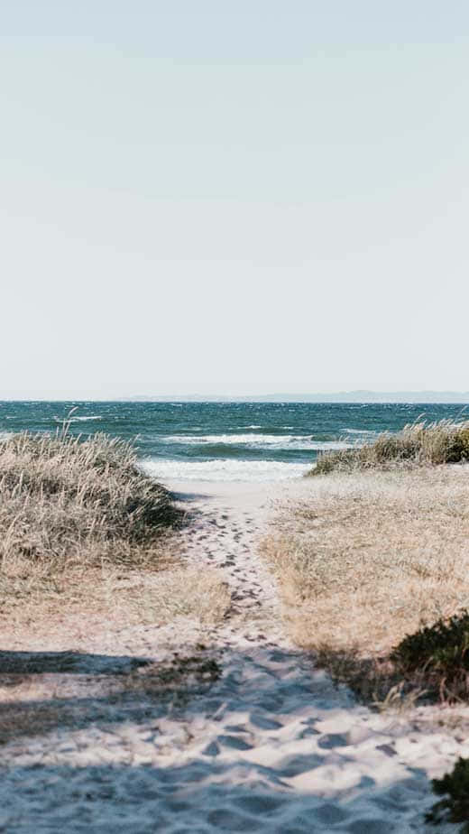 sandy path, dry grass, ocean, SD Phone Wallpaper