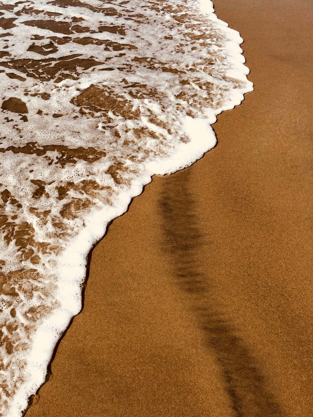 soft brown aesthetic, golden sand, foamy ocean waves, HD Phone Wallpaper