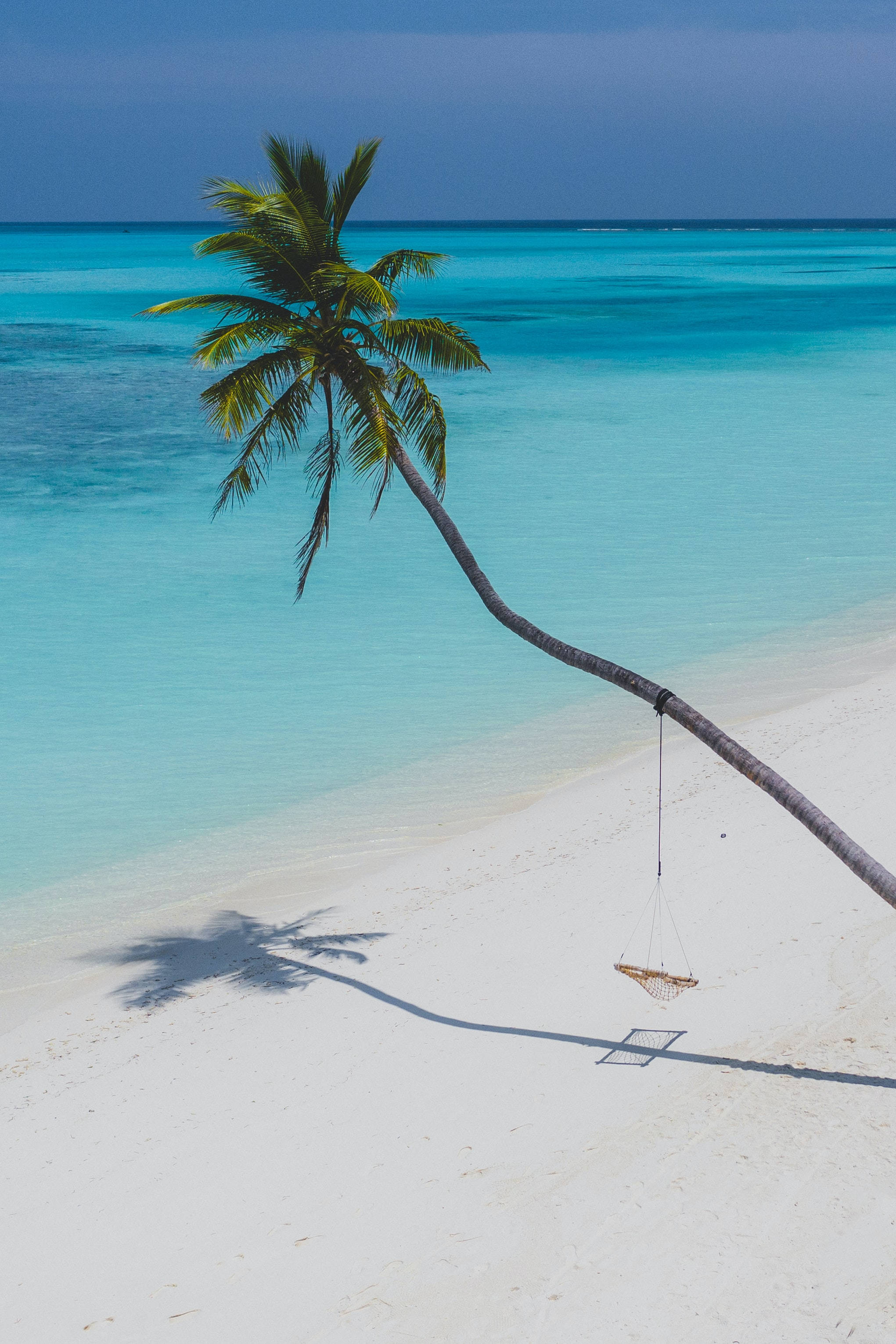 tropical beach, palm tree, white sand, 2K Phone Wallpaper